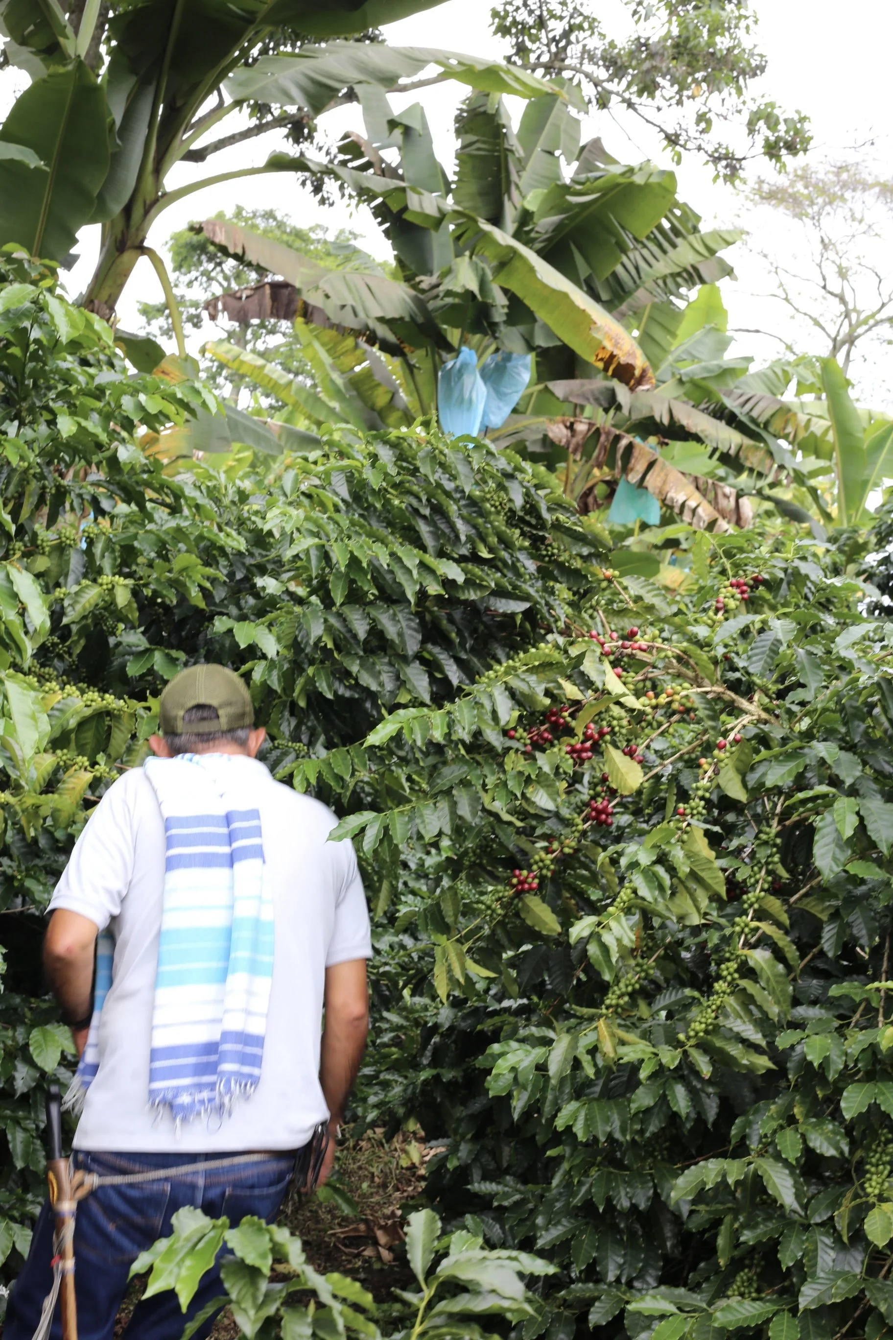 Santa Monica 3.jpg (Copy)