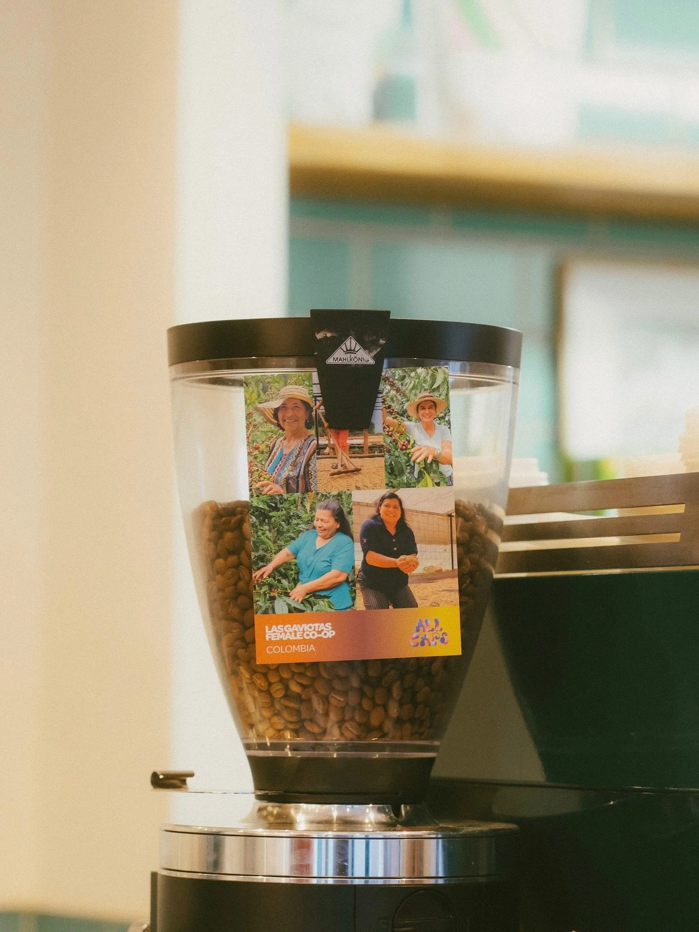 It is that time of the week again for the people of Chester - @kookaburra_bakehouse open from 8am slinging top-tier pastries and Las Gaviotas brews ✨