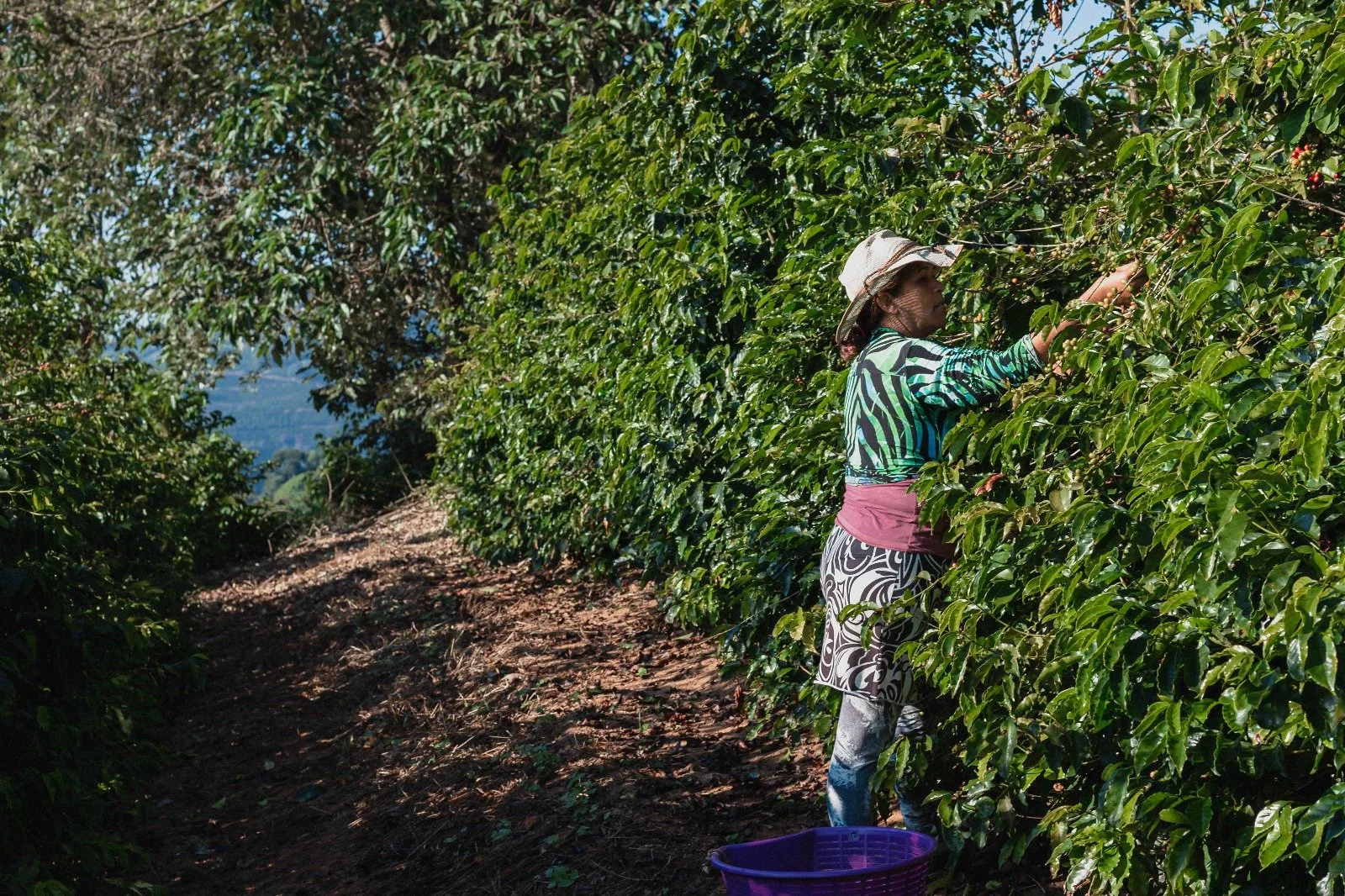 WhatsApp Image 2025-06-03 at 10.57.13.jpeg