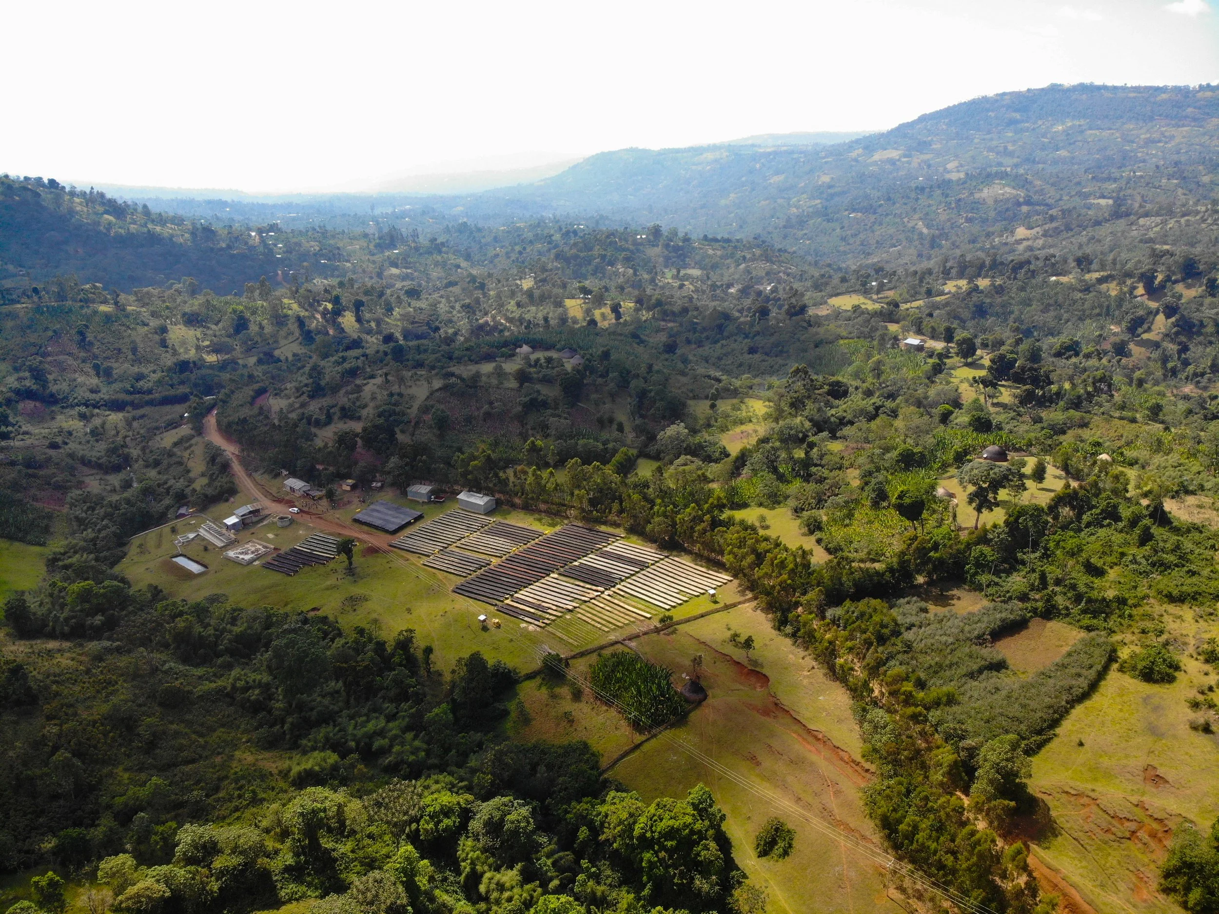 Drone Shot 4.jpeg