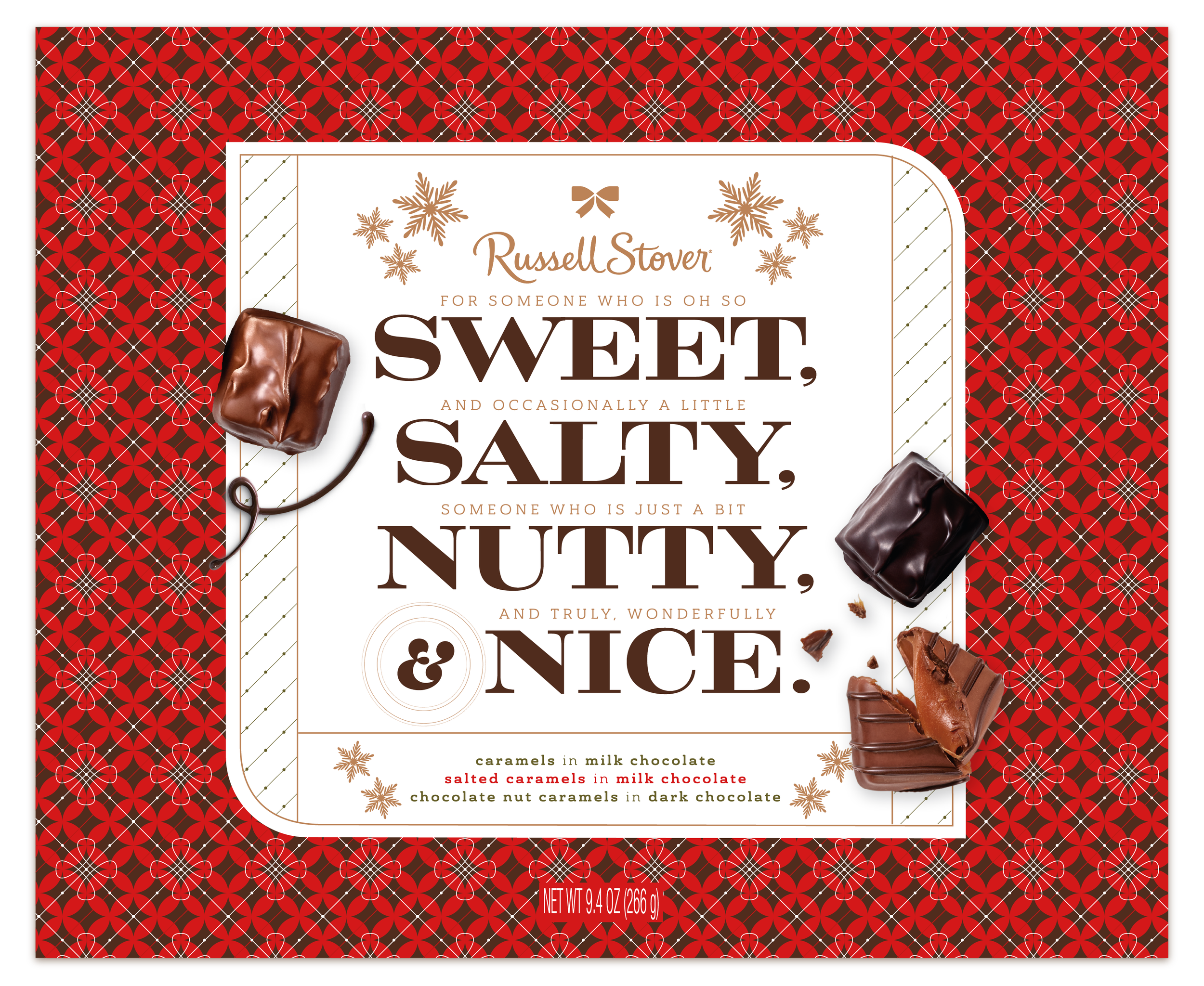 ssnn_portfolio-02.png