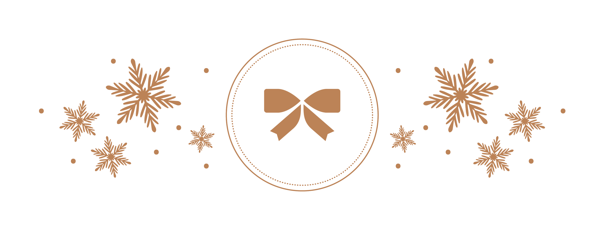 ssnn_portfolio-04.png