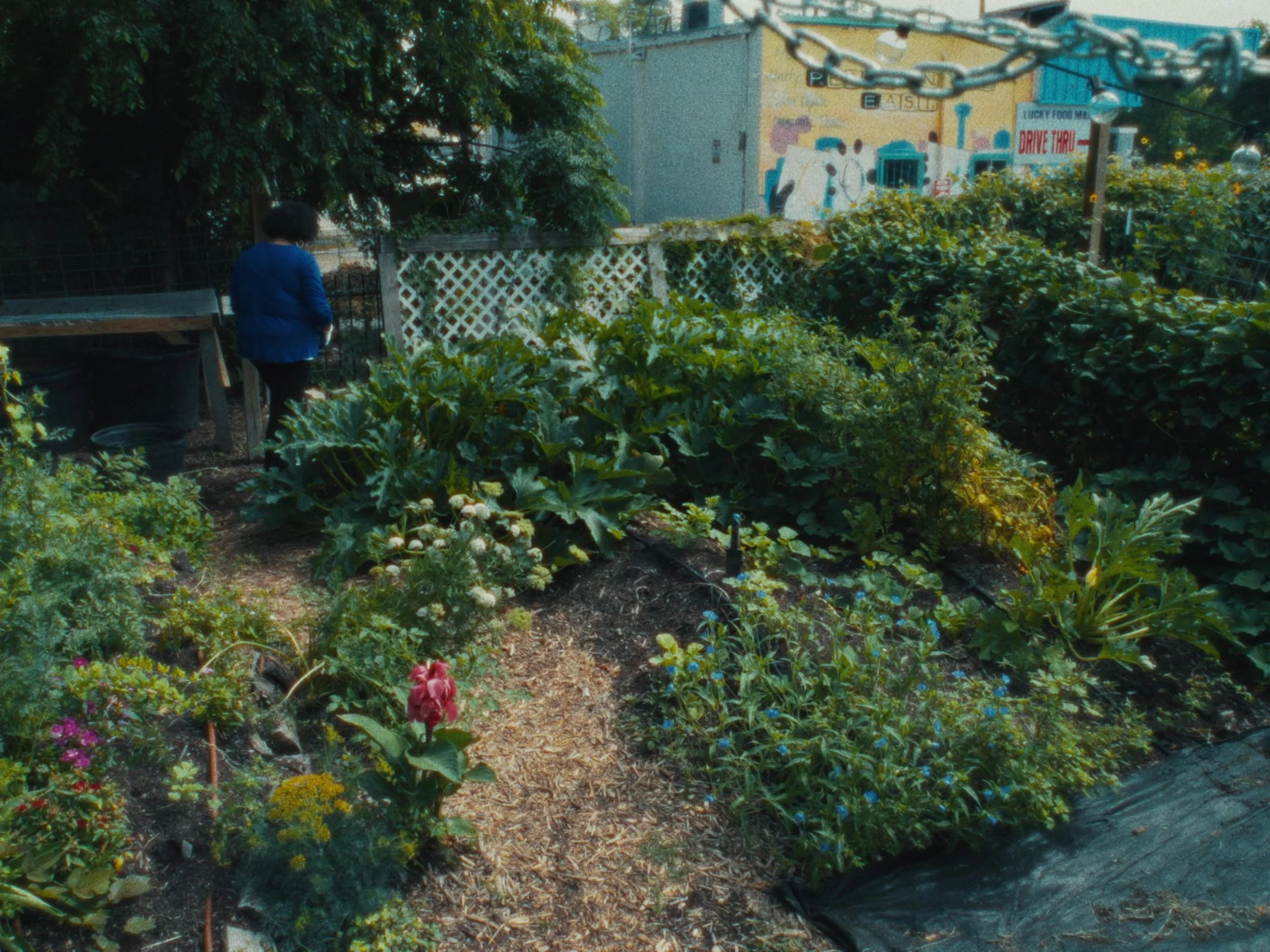 bg_cropped-18.jpg