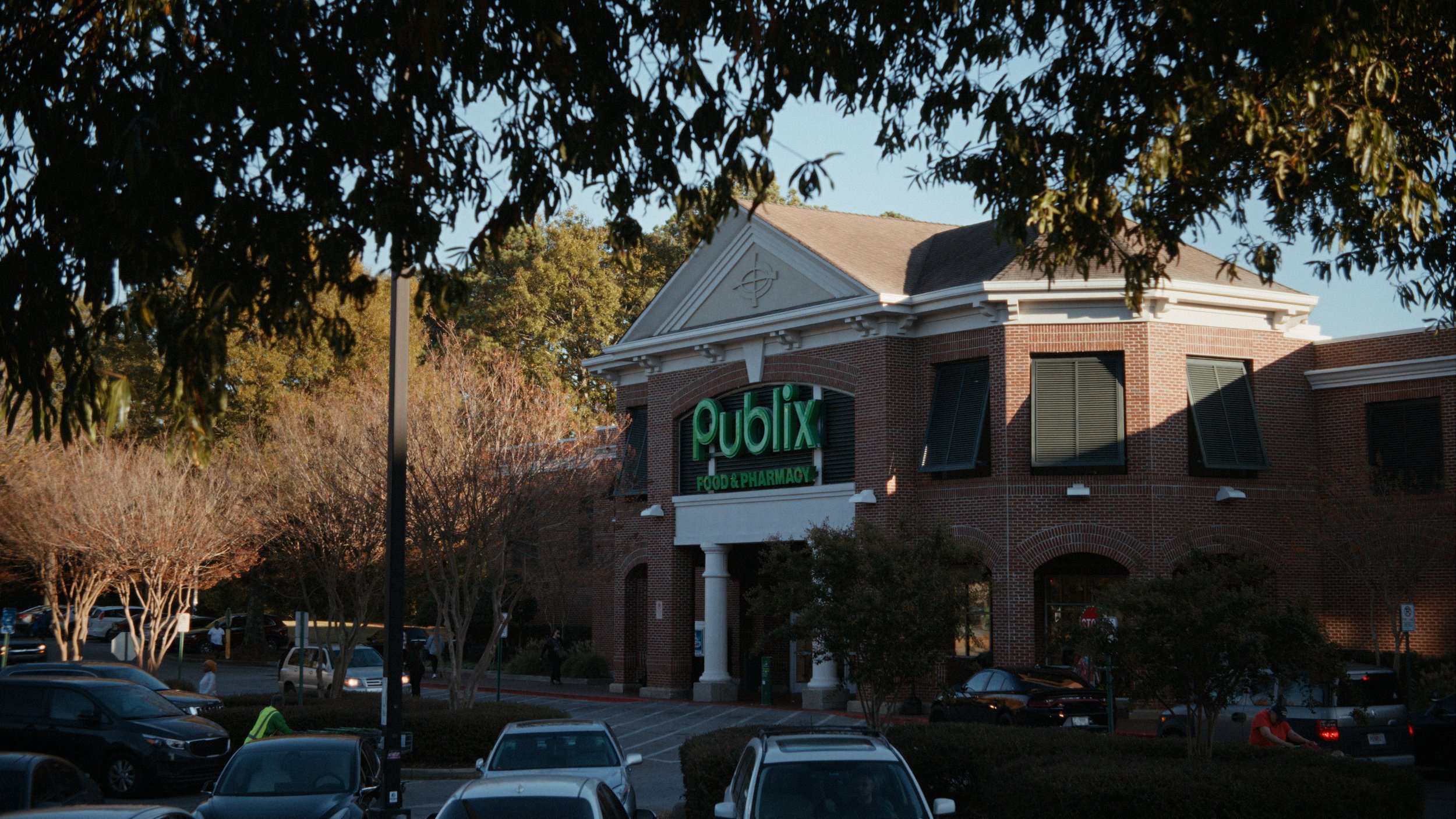 PUBLIX_MLK_FRAMES_8.1.1.jpg