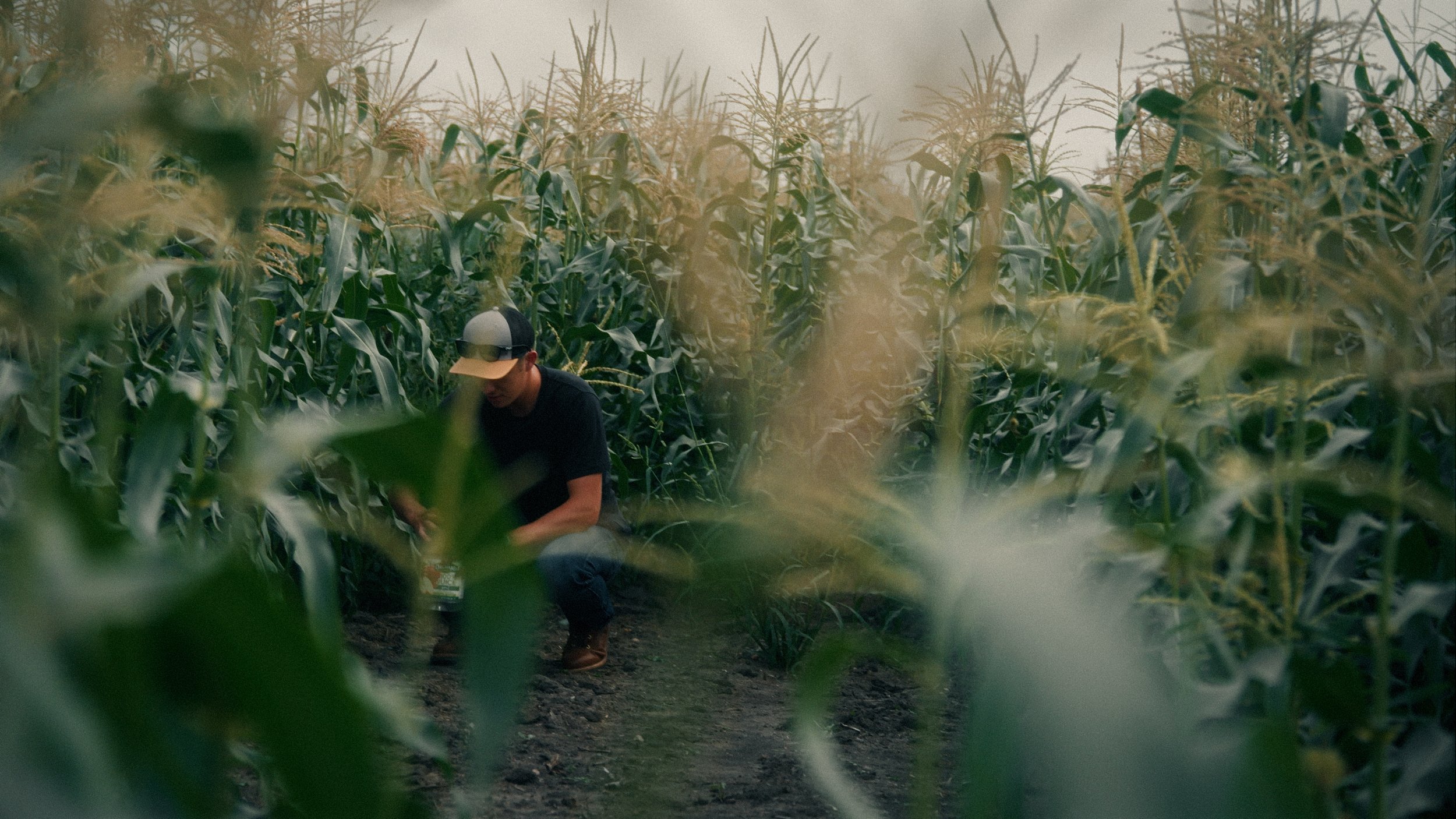 HUCKBERRY_FOH_FRAMES_5.63.1.jpg