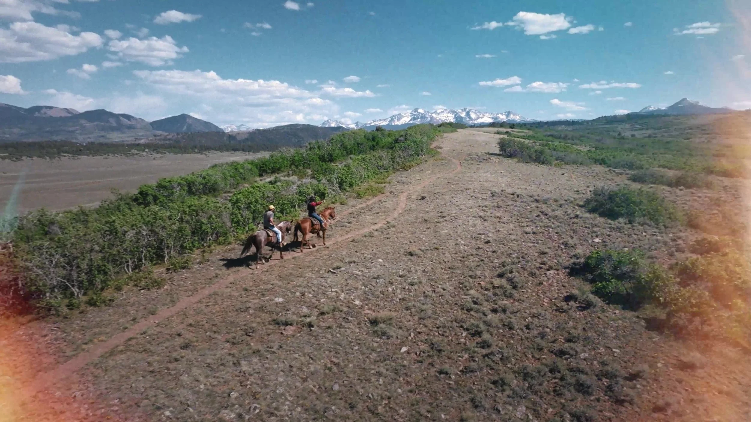 frame_1217.jpg