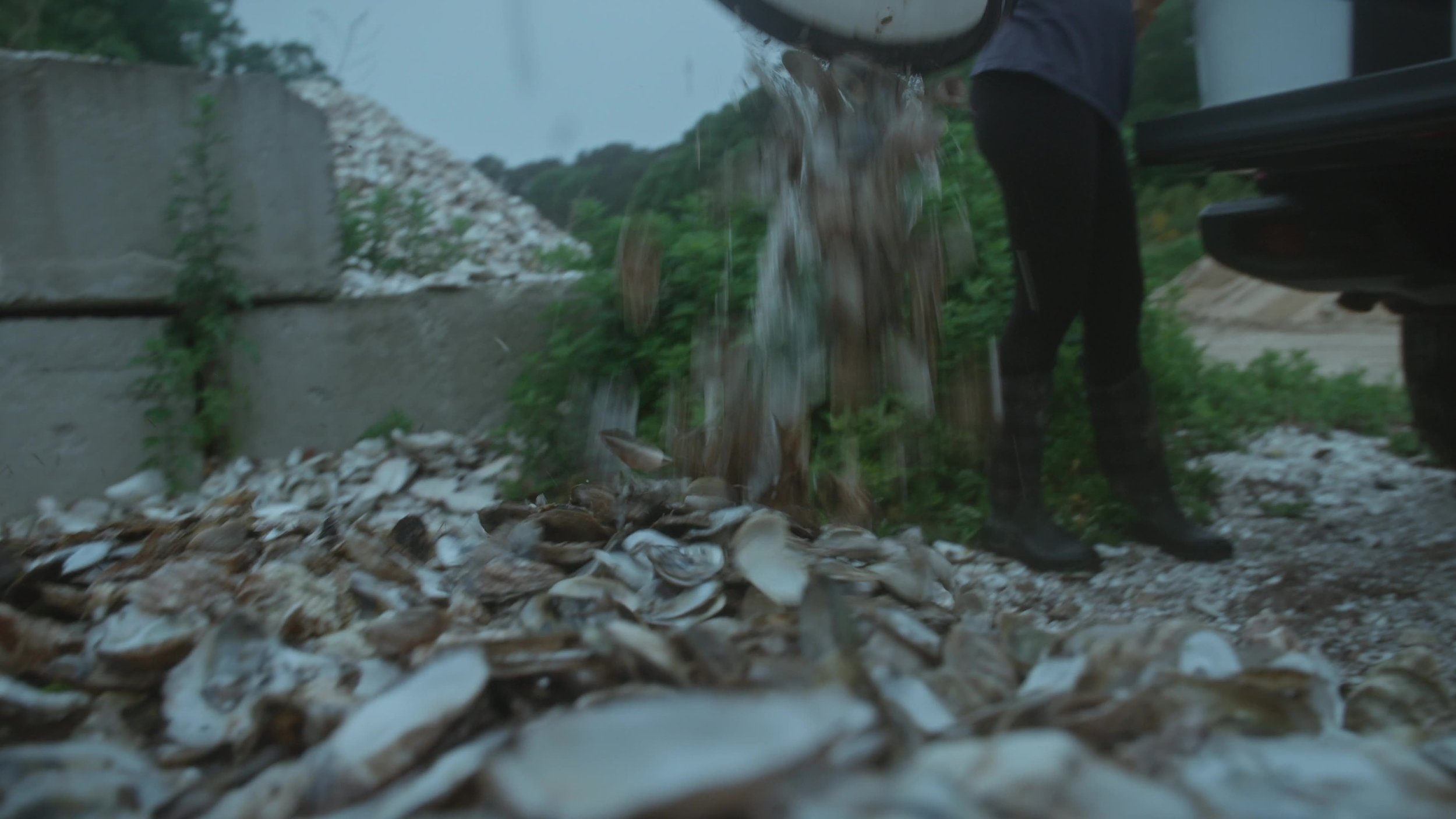 frame_1092.jpg