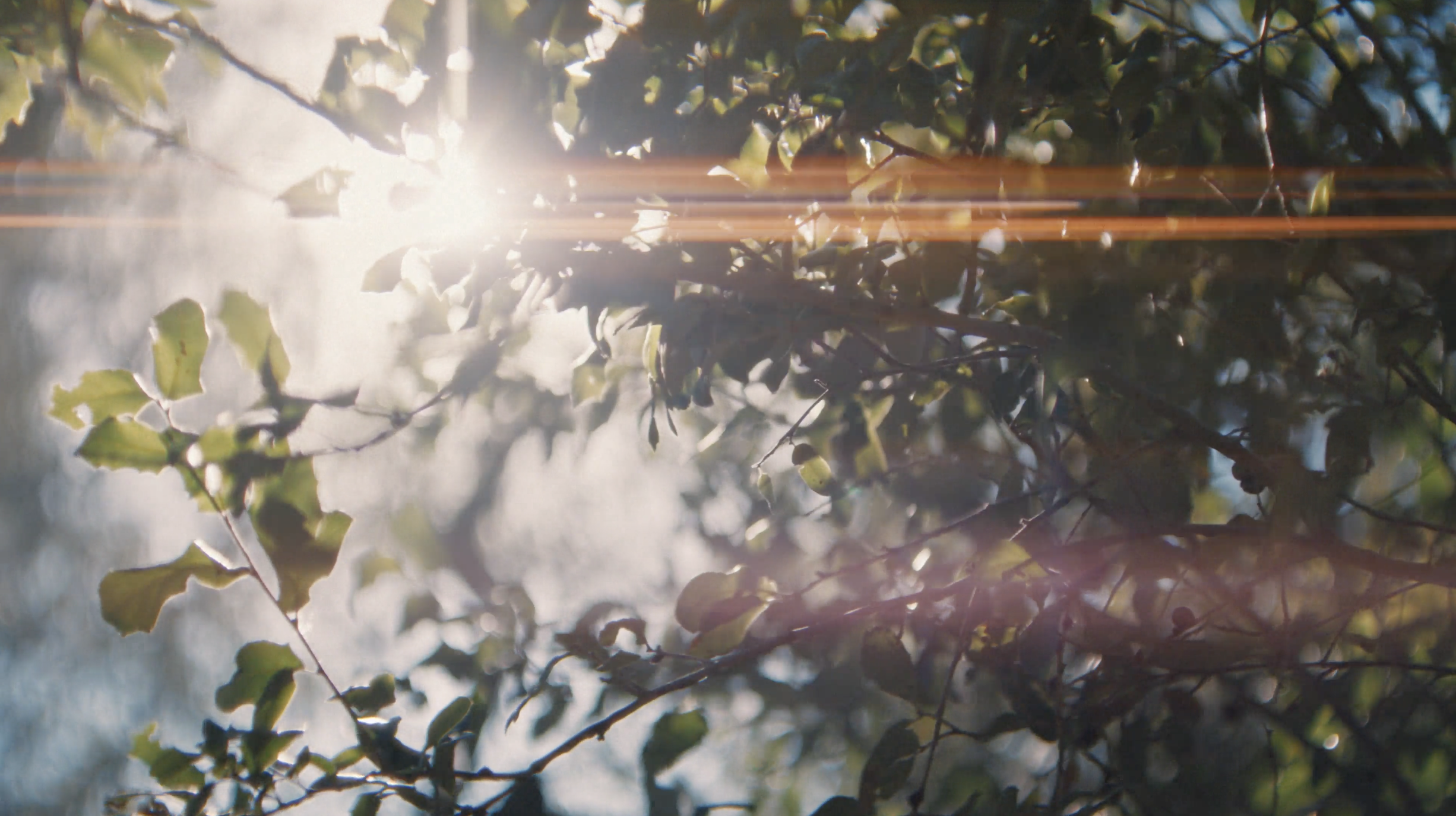 Screenshot 2026-01-27 at 2.18.40 PM.png