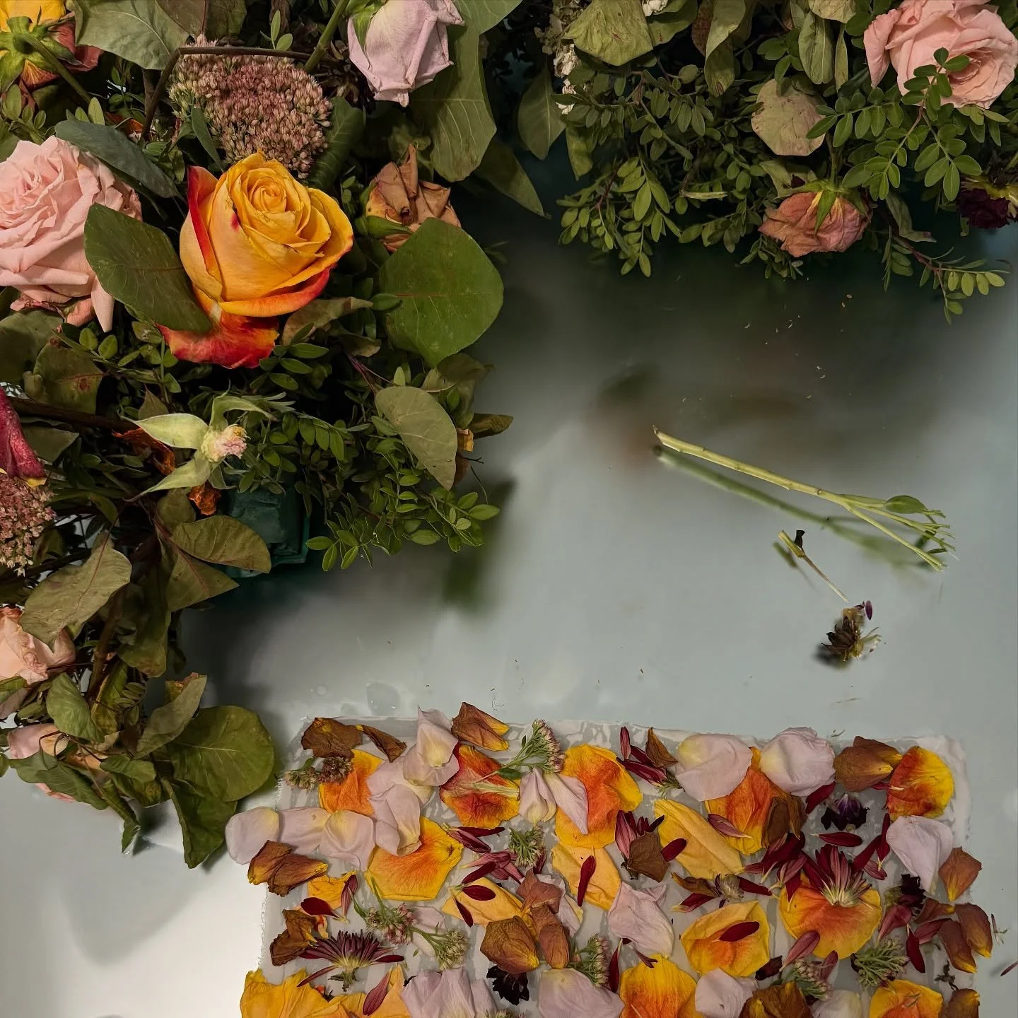 Past few days in the studio 🌿🌸🌼
Made to order dresses, tops, scarves and silk robes ✨
Transforming flower arrangements into art pieces, batiking tote bags and linen napkins 🕯️
Meetings for collaborations, dyeing Greek wool, learning how to embroi