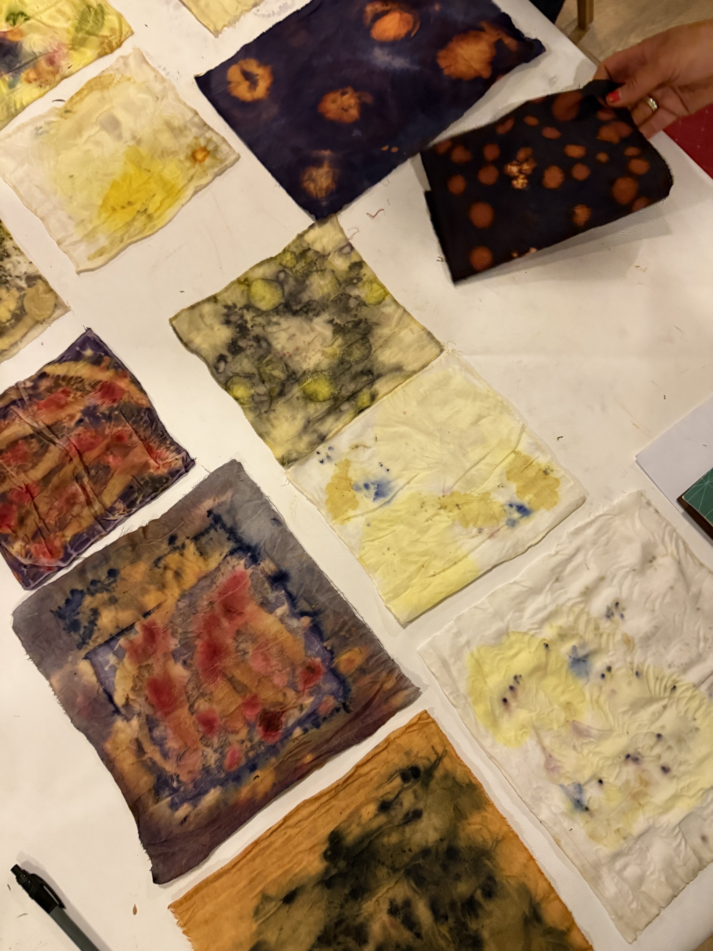 NaturalDyeExperiments.JPG