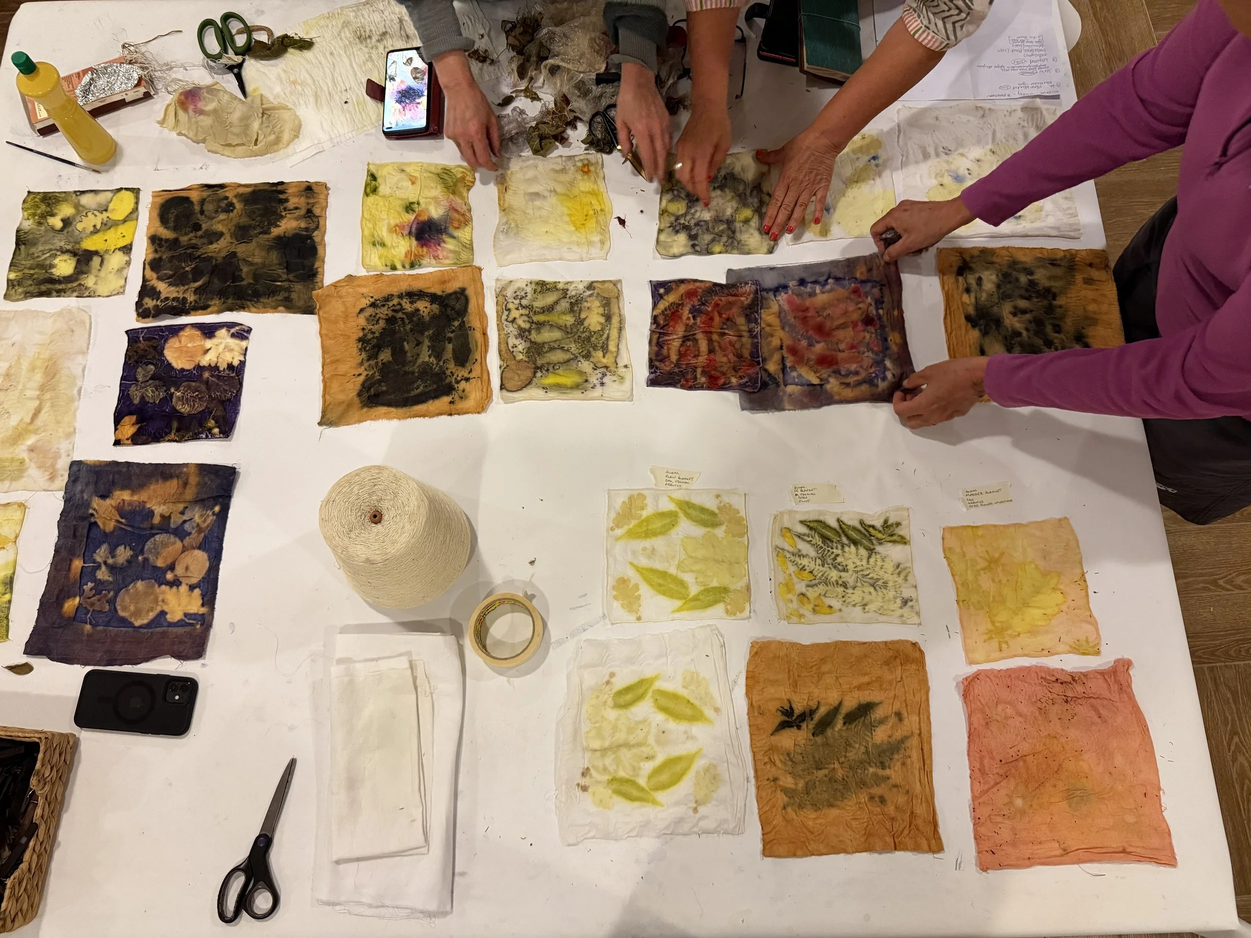 OneonOneNaturalDyeingTutorials.JPG