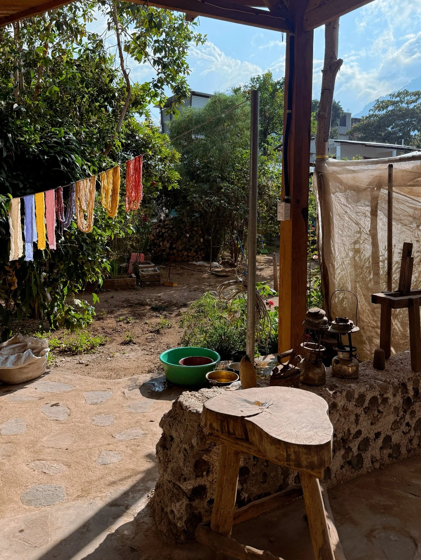 A day naturally dyeing at San Juan La Laguna with Rosa @lema_guatemala_ 🌼
We used pericon, sacatinta, chilka, pimienta and cochineal. All from Rosa&rsquo;s garden. My favourite part of the class was going around her garden and picking the plants - (