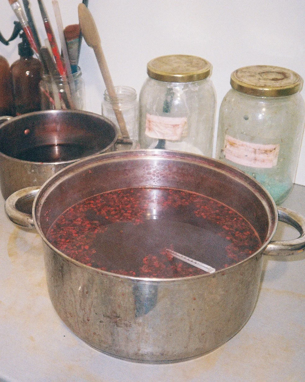 File 13photo credit christina christodoulou.JPG