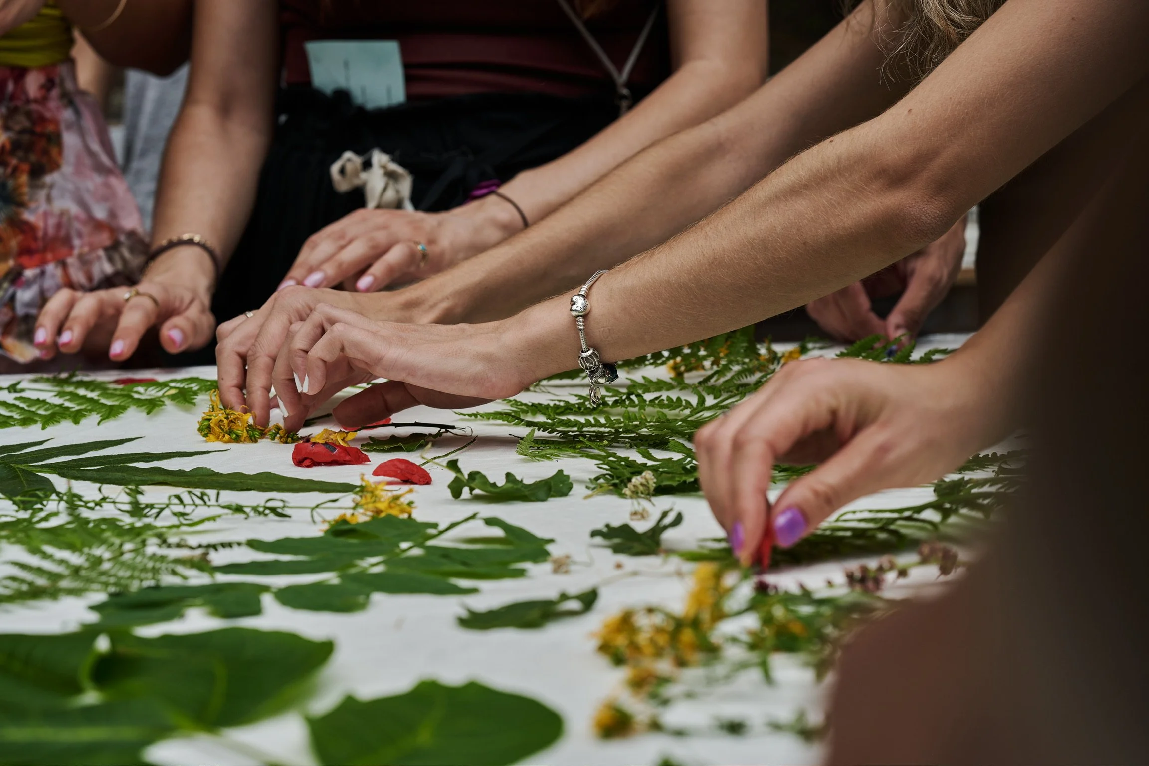 MANNA Events_82.JPEG