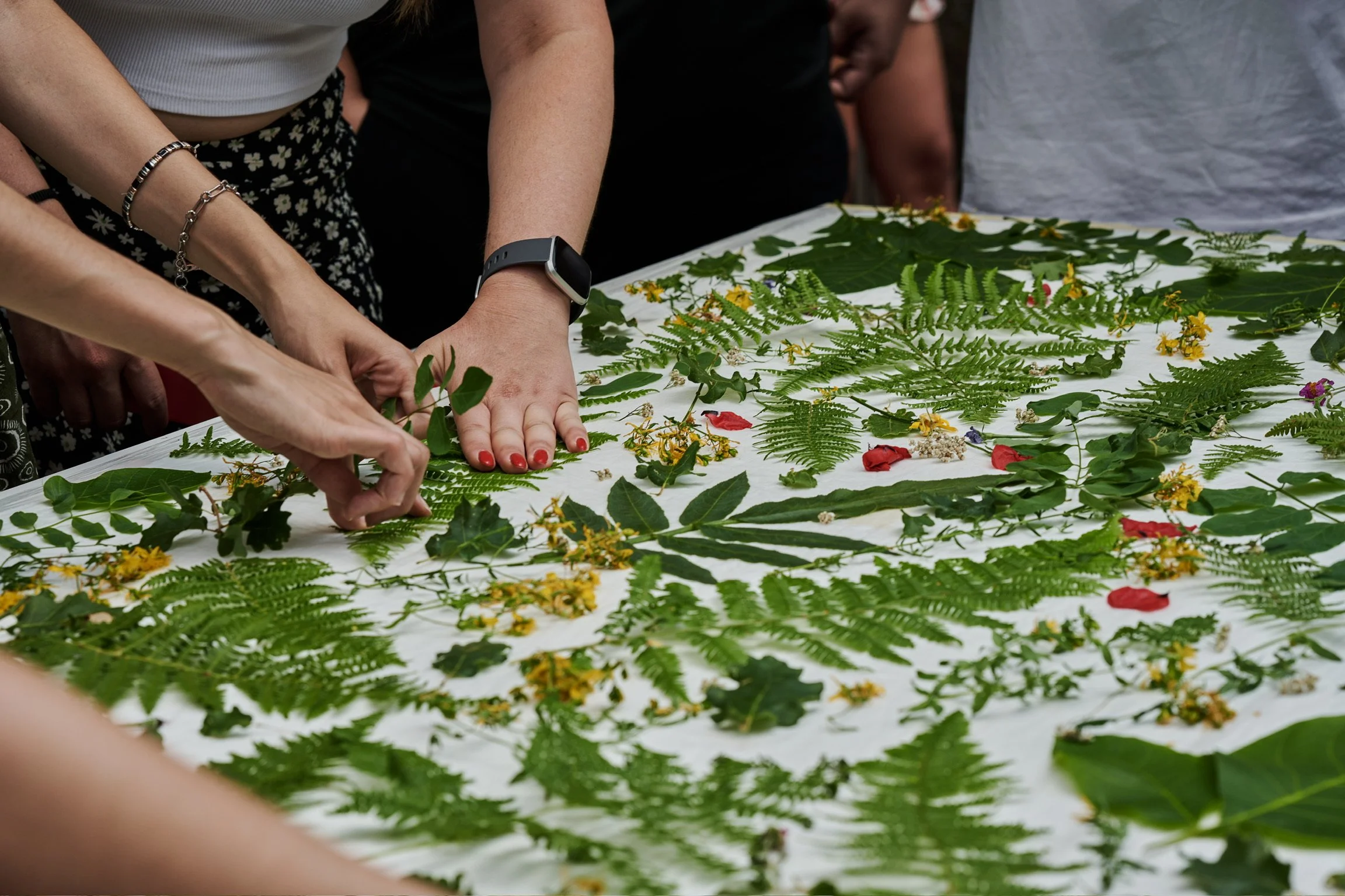 MANNA Events_85.JPEG