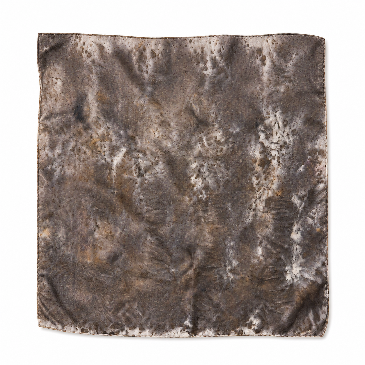 00C1A014-8ED1-4D17-B864-9B98A43B4846.PNG