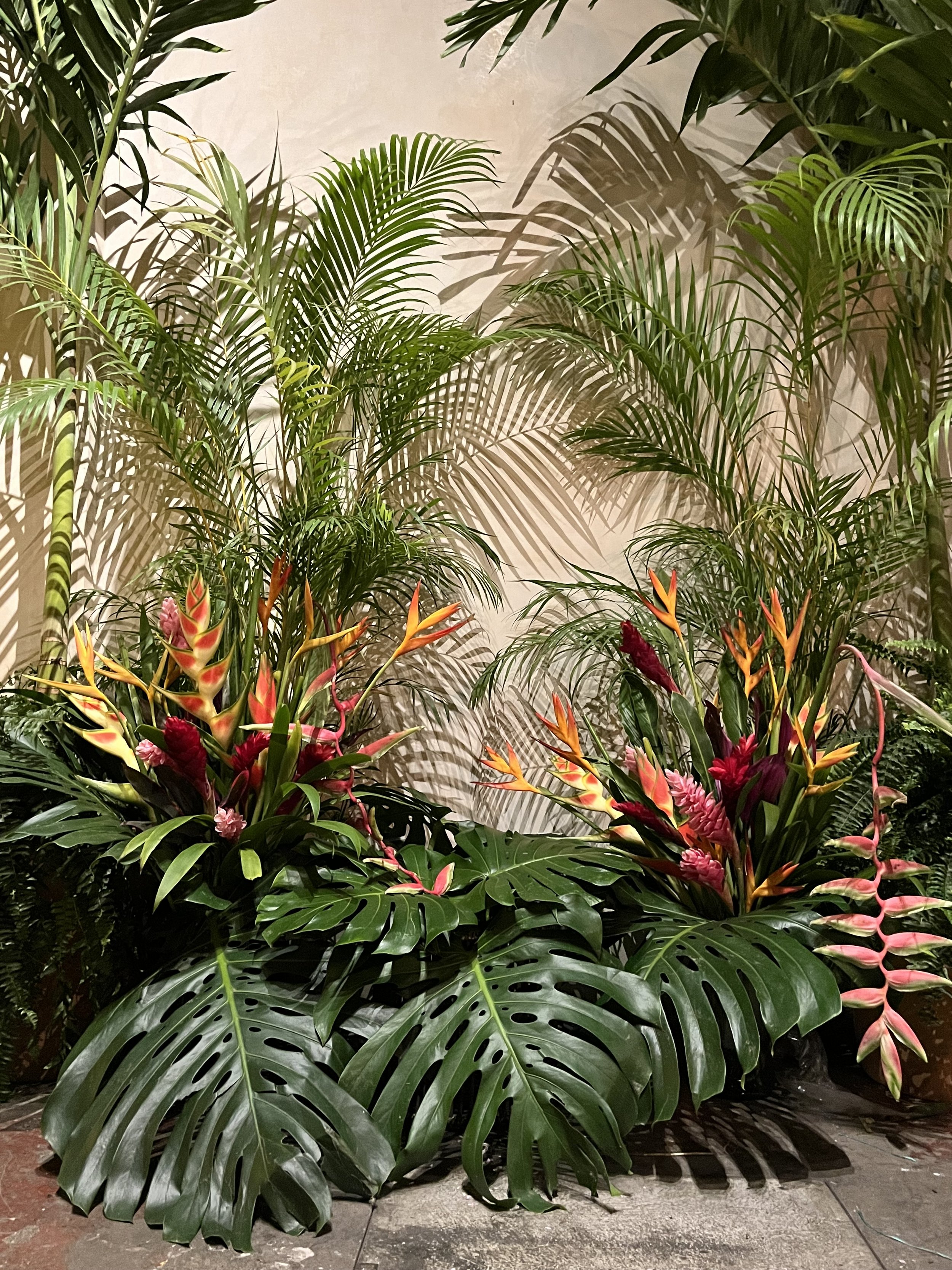 1. Gitano, Pop-up Maco.jpg