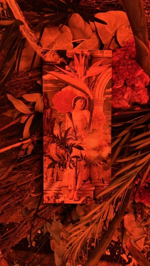 d175901a-d21e-46d8-91d3-20ef36812da7 2.JPG