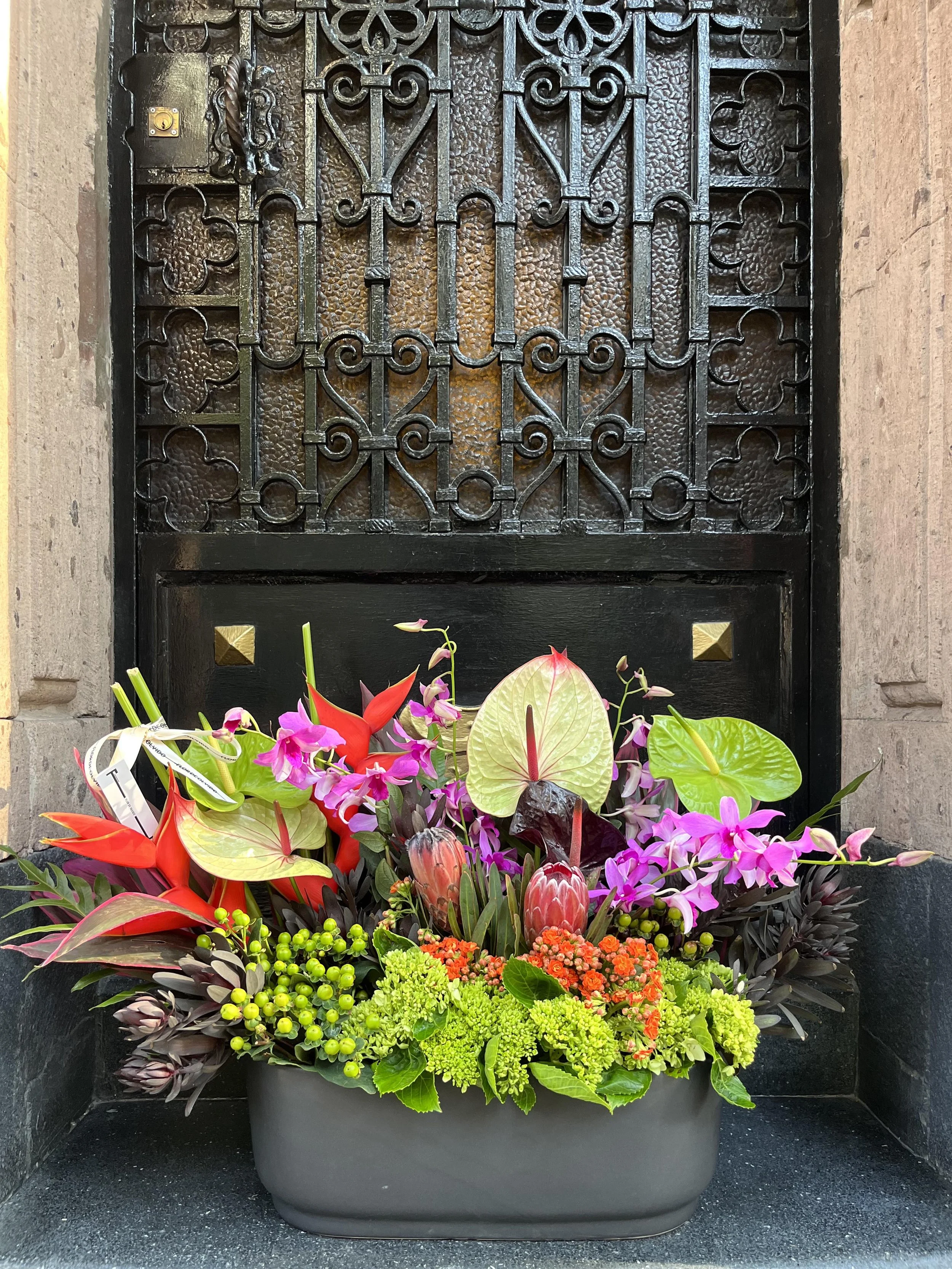 para Juan Carlos_2.jpg