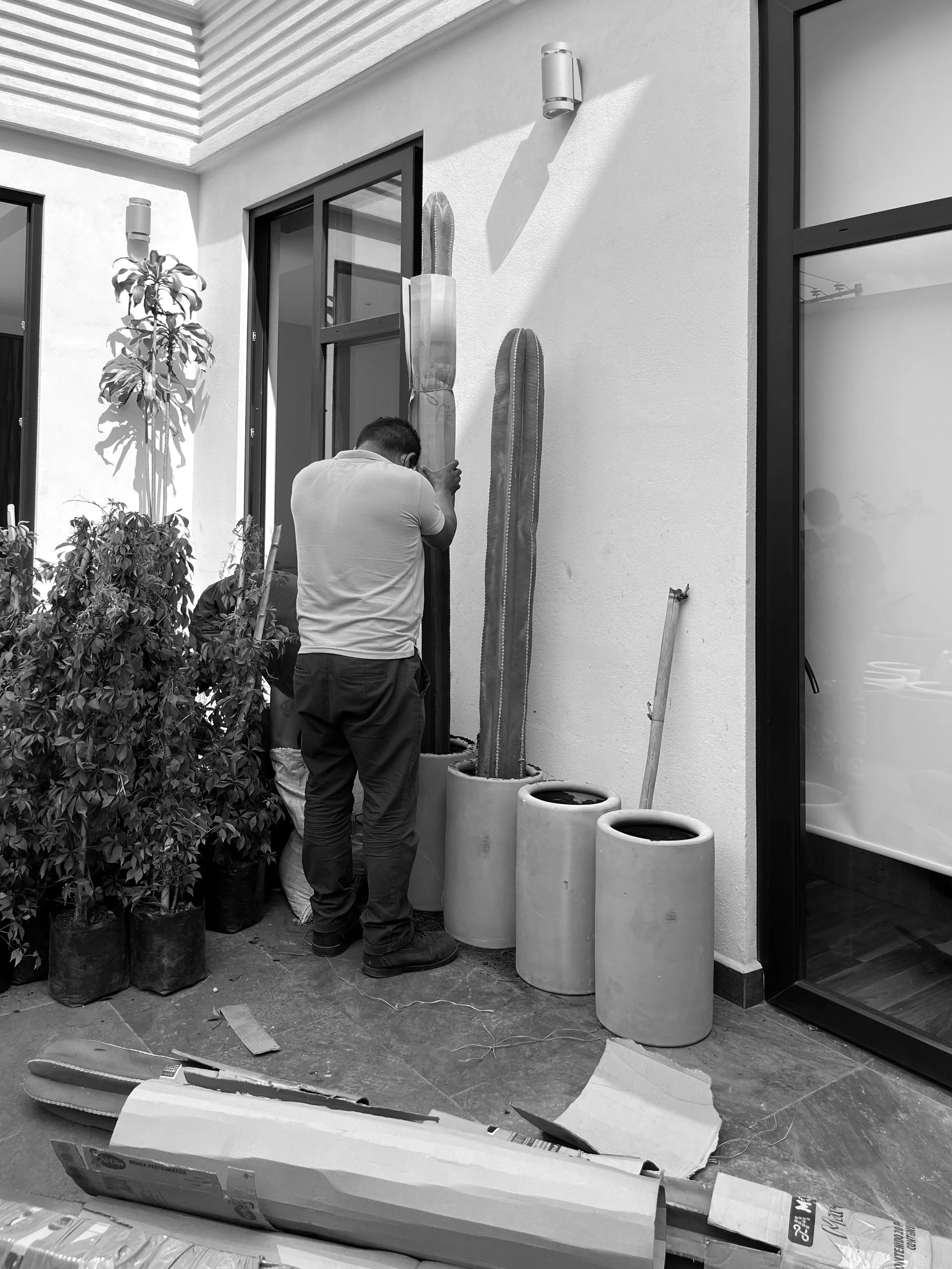 0. Oasis_procesos 2_1.jpg