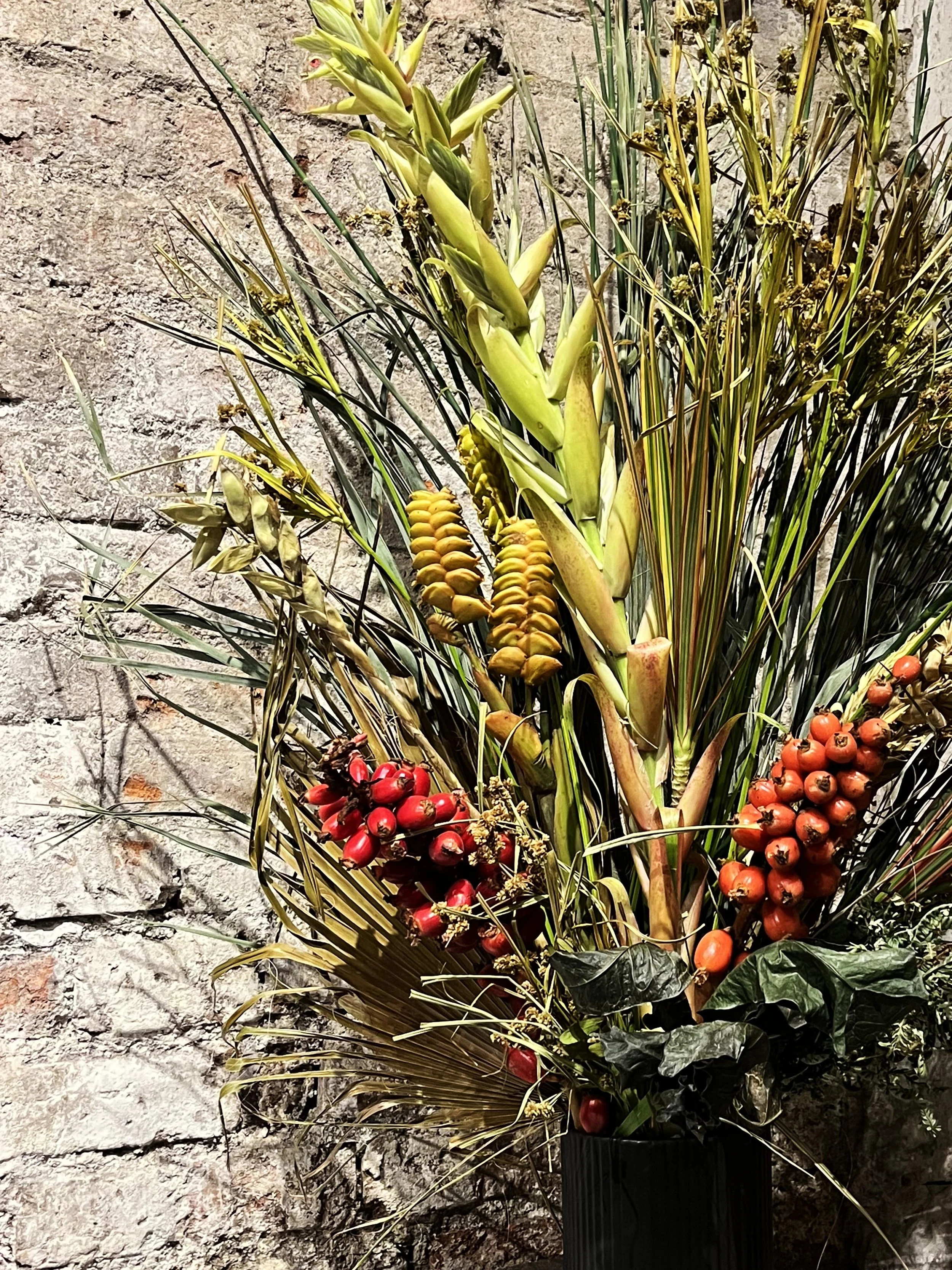 0. Nochebuena__..jpg