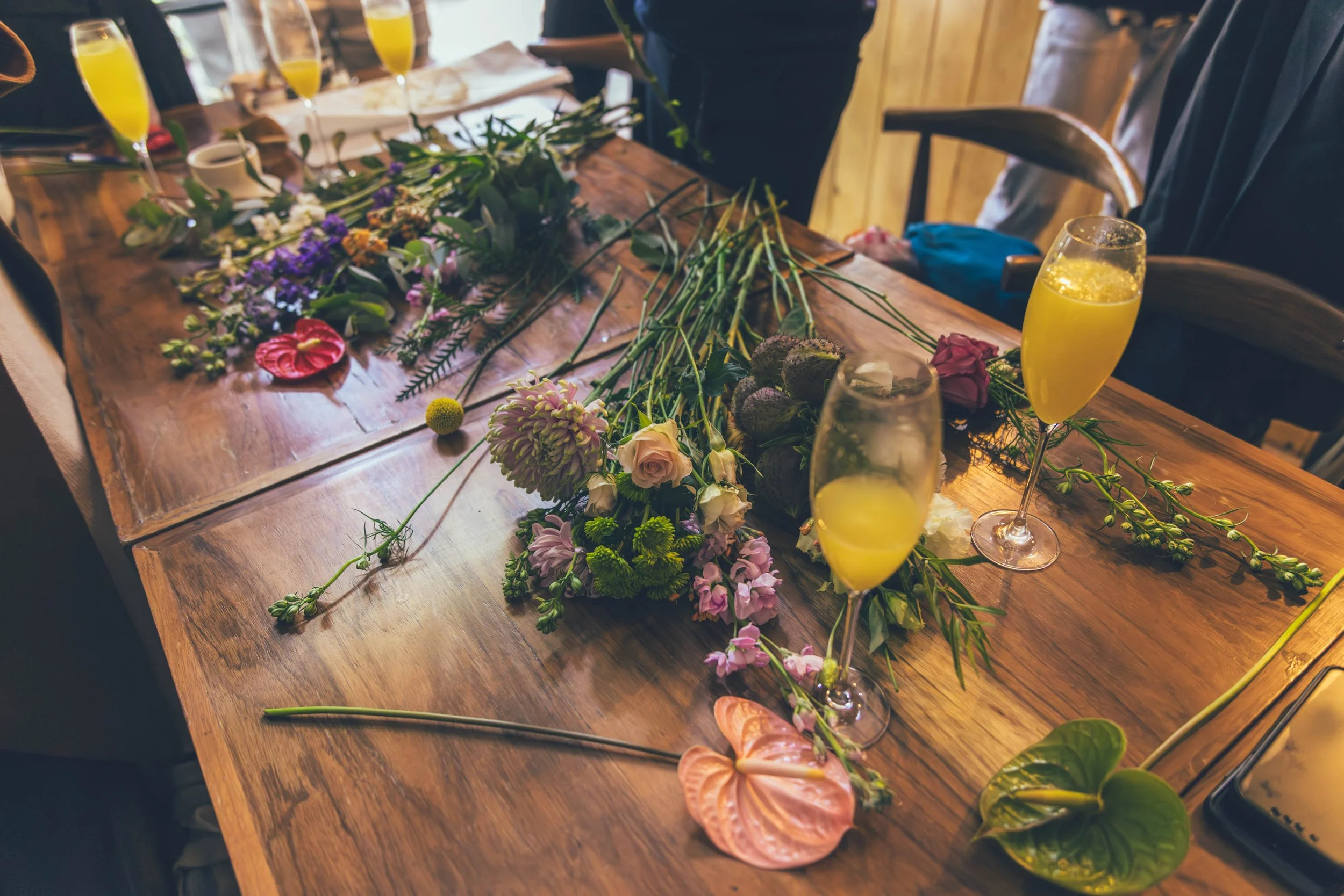 FLOR DE OLVIDO DREAMY2023_1205_121359__TT 2.JPG