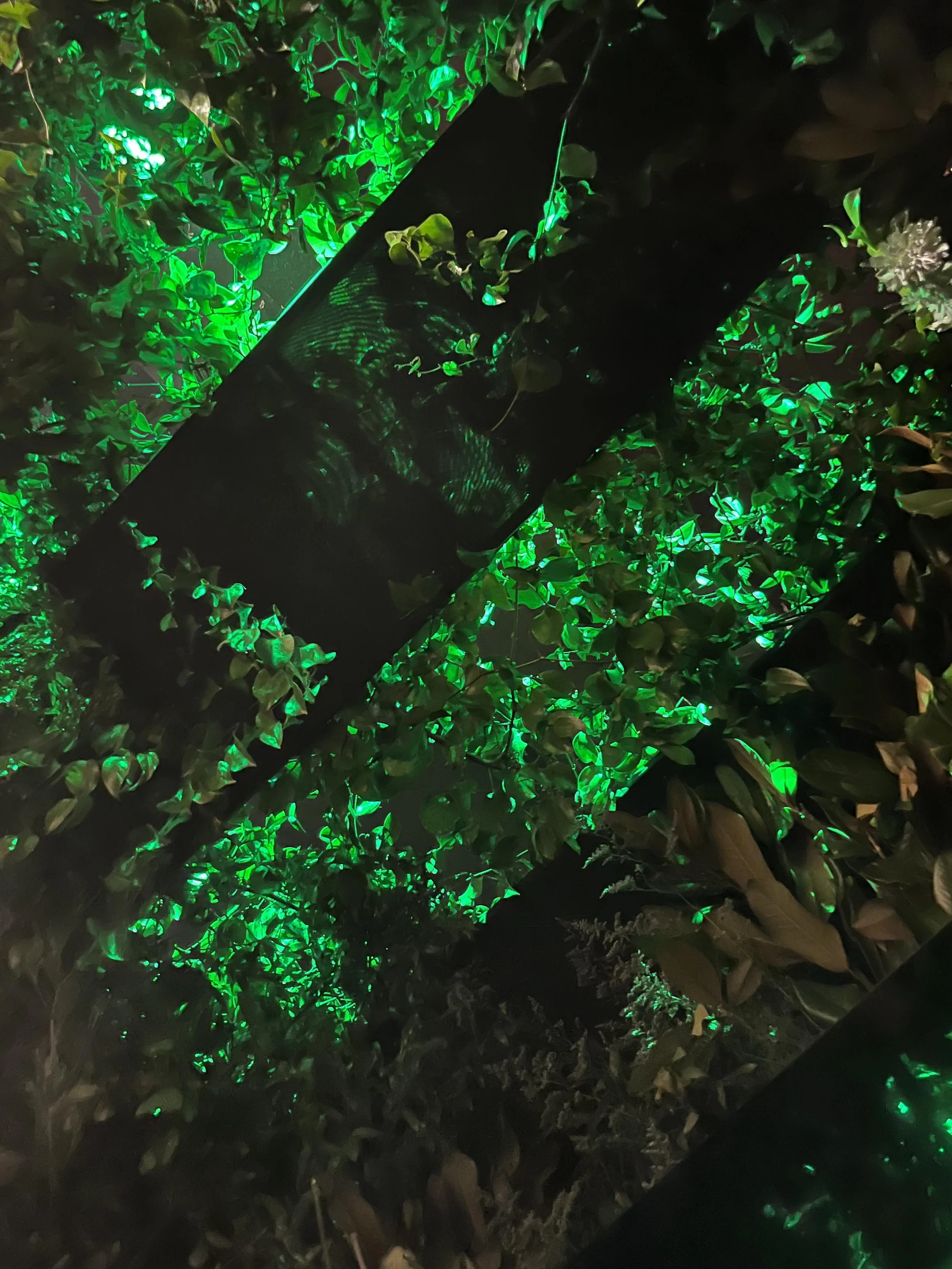 0. Netflix, Sweet tooth, Ciudad de México_2_.jpg