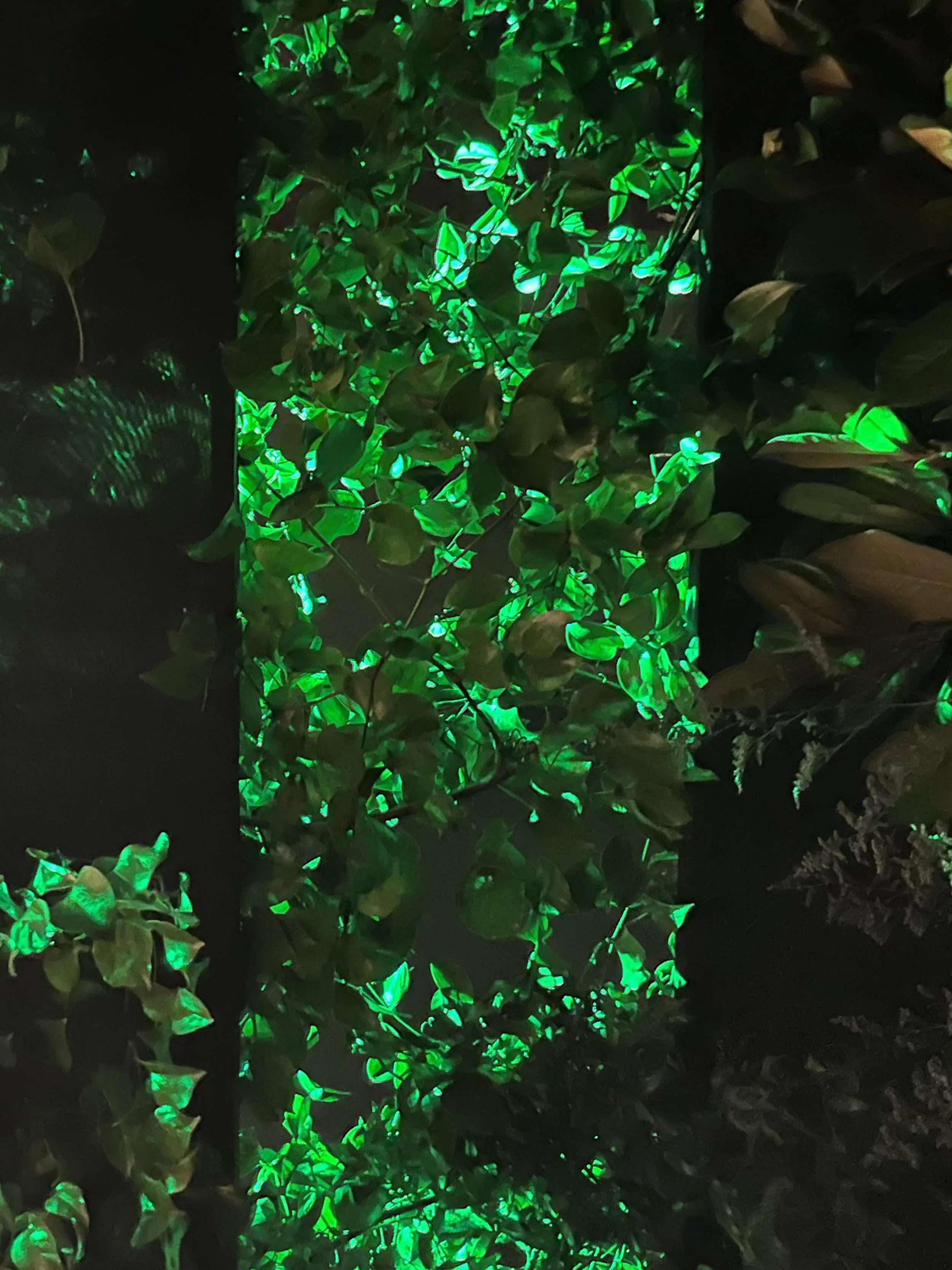 0. Netflix, Sweet tooth, Ciudad de México_2+.jpg