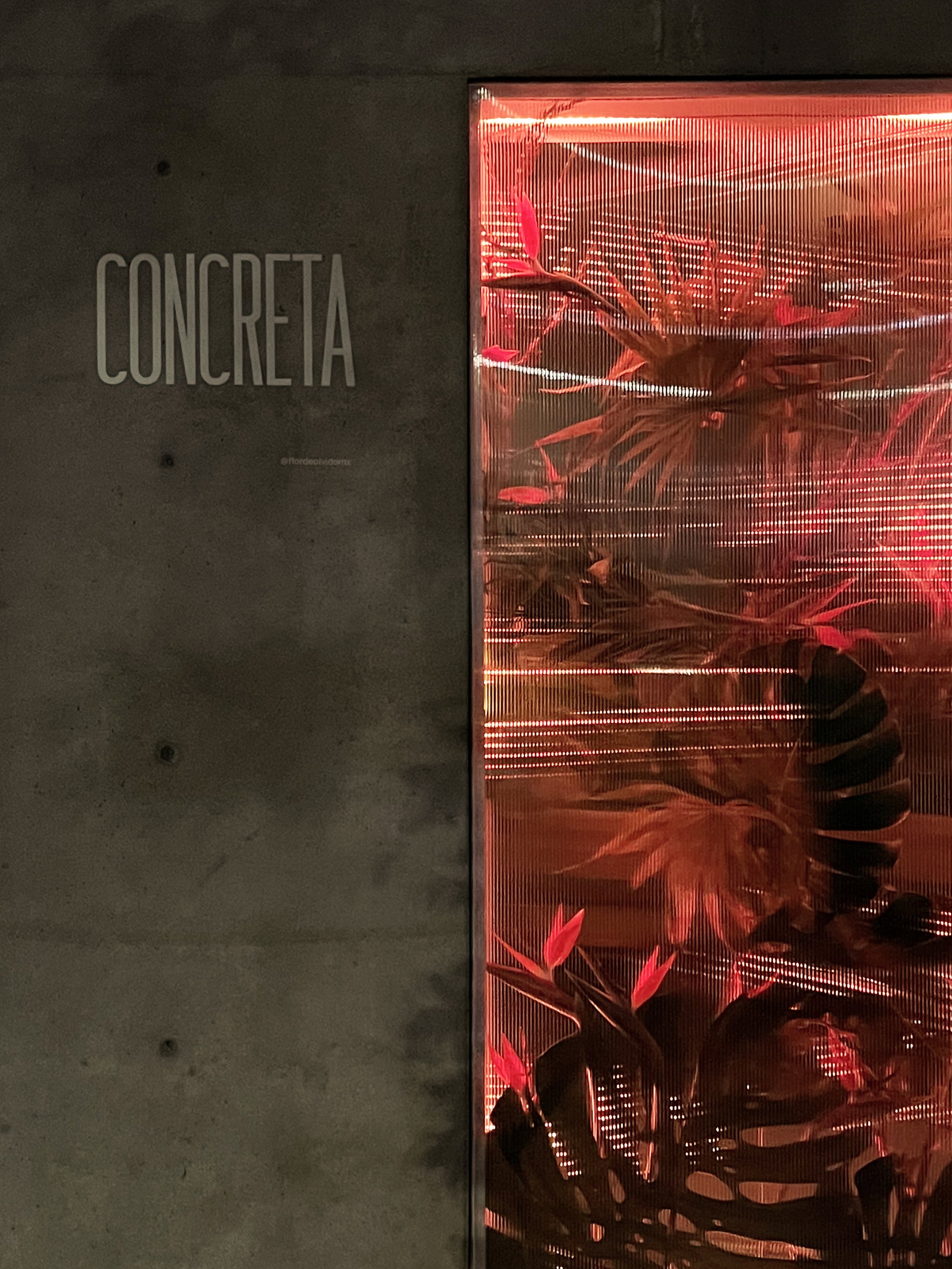 concreta_5.jpg