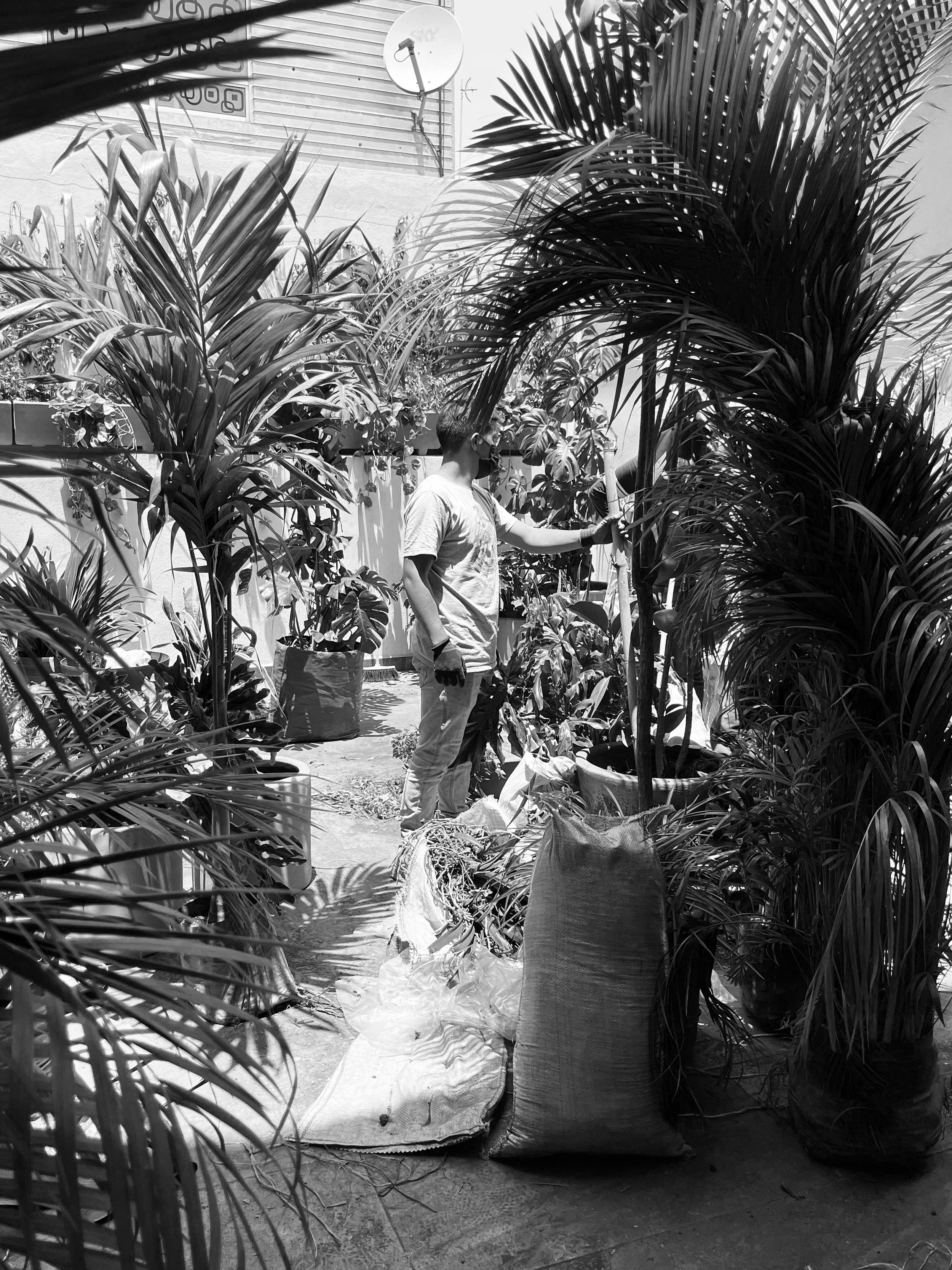 0. Oasis_procesos 4_1.jpg