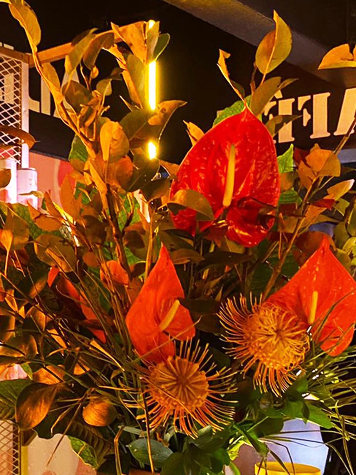 0. VMC by Canelo, Monumento a la Revolución 3.jpg