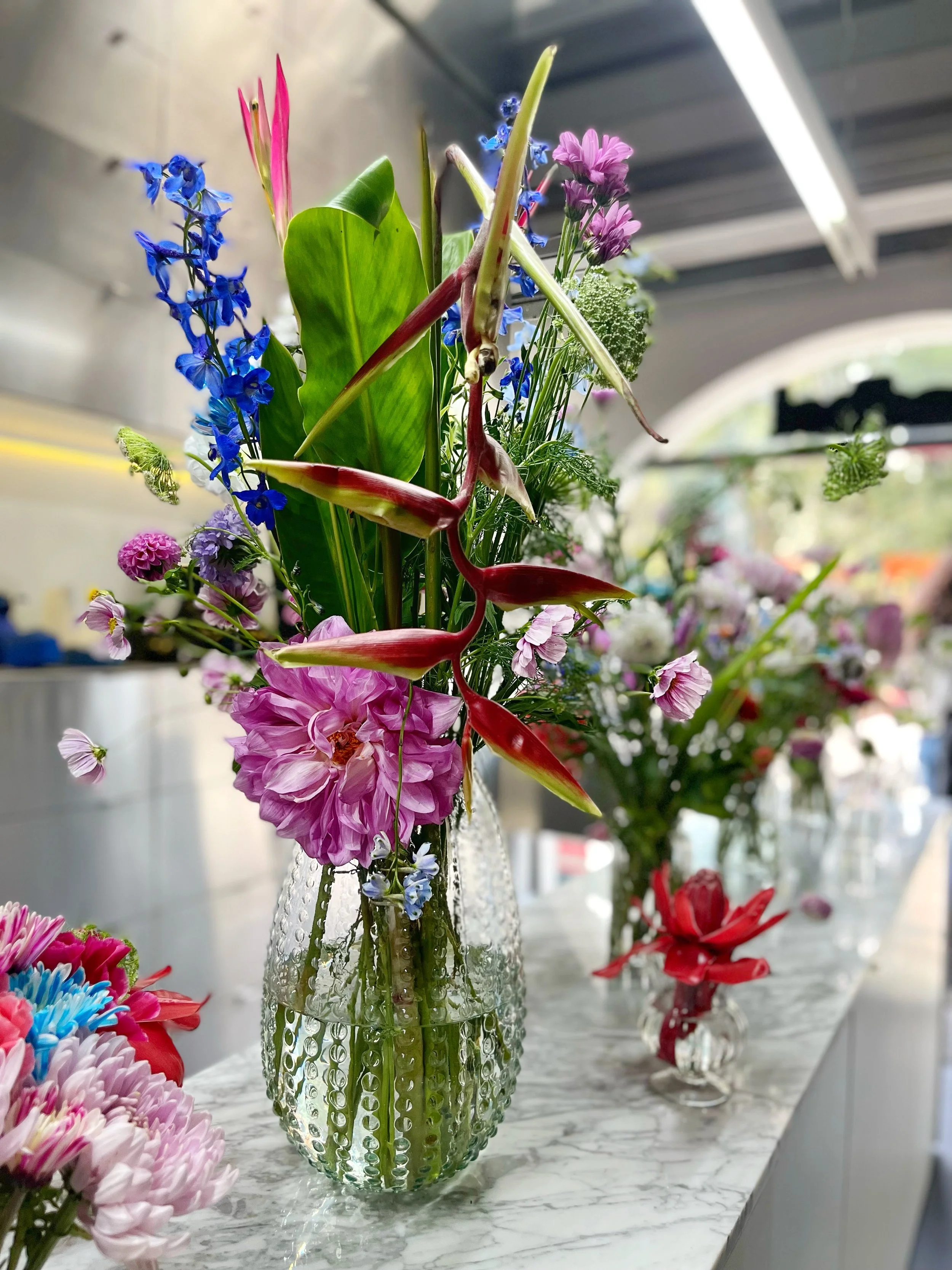 0. Stendhal Store, Masaryk_D.jpg