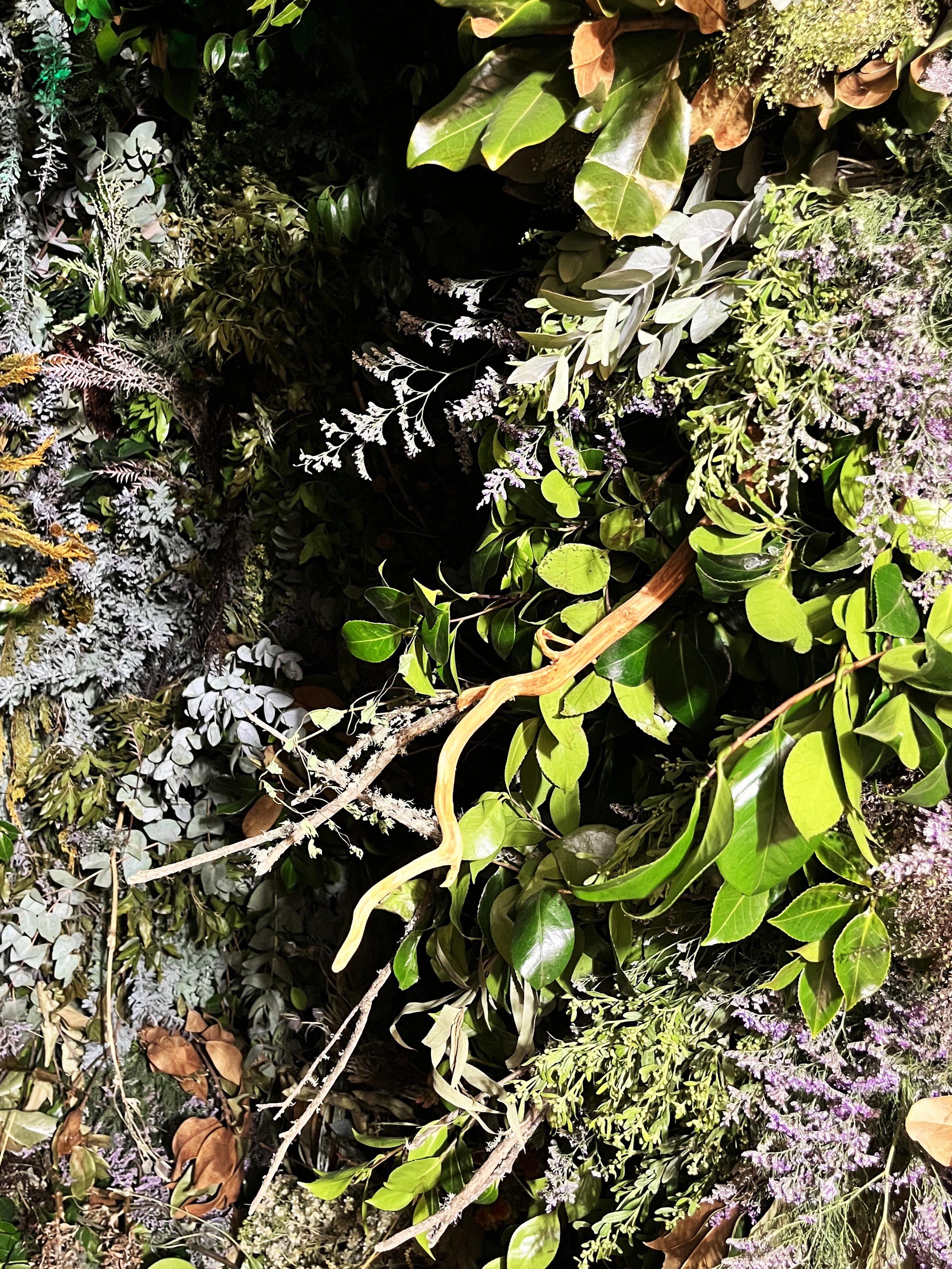 0. Netflix, Sweet tooth, Ciudad de México_.jpg