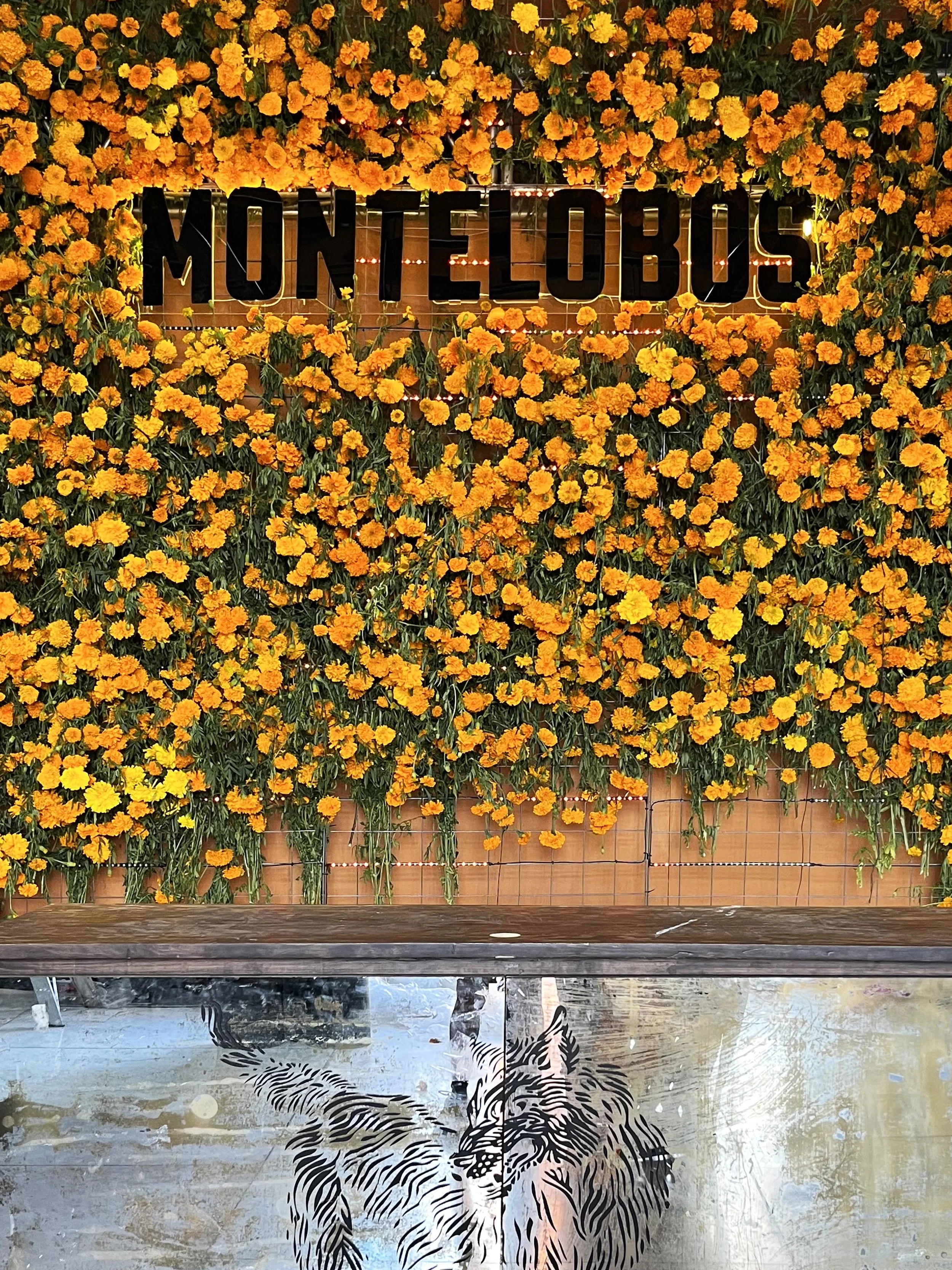 0. Día de los muertos, Montelobos, Oaxaca_C_.jpg