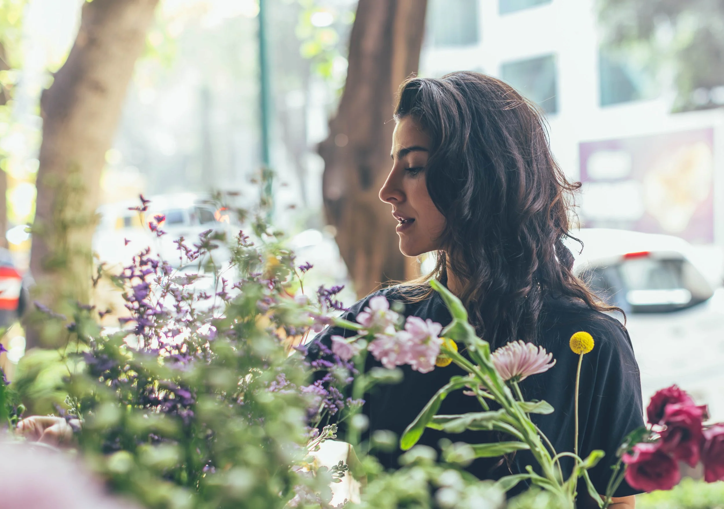 FLOR DE OLVIDO DREAMY2023_1205_122043__TT 2.JPG