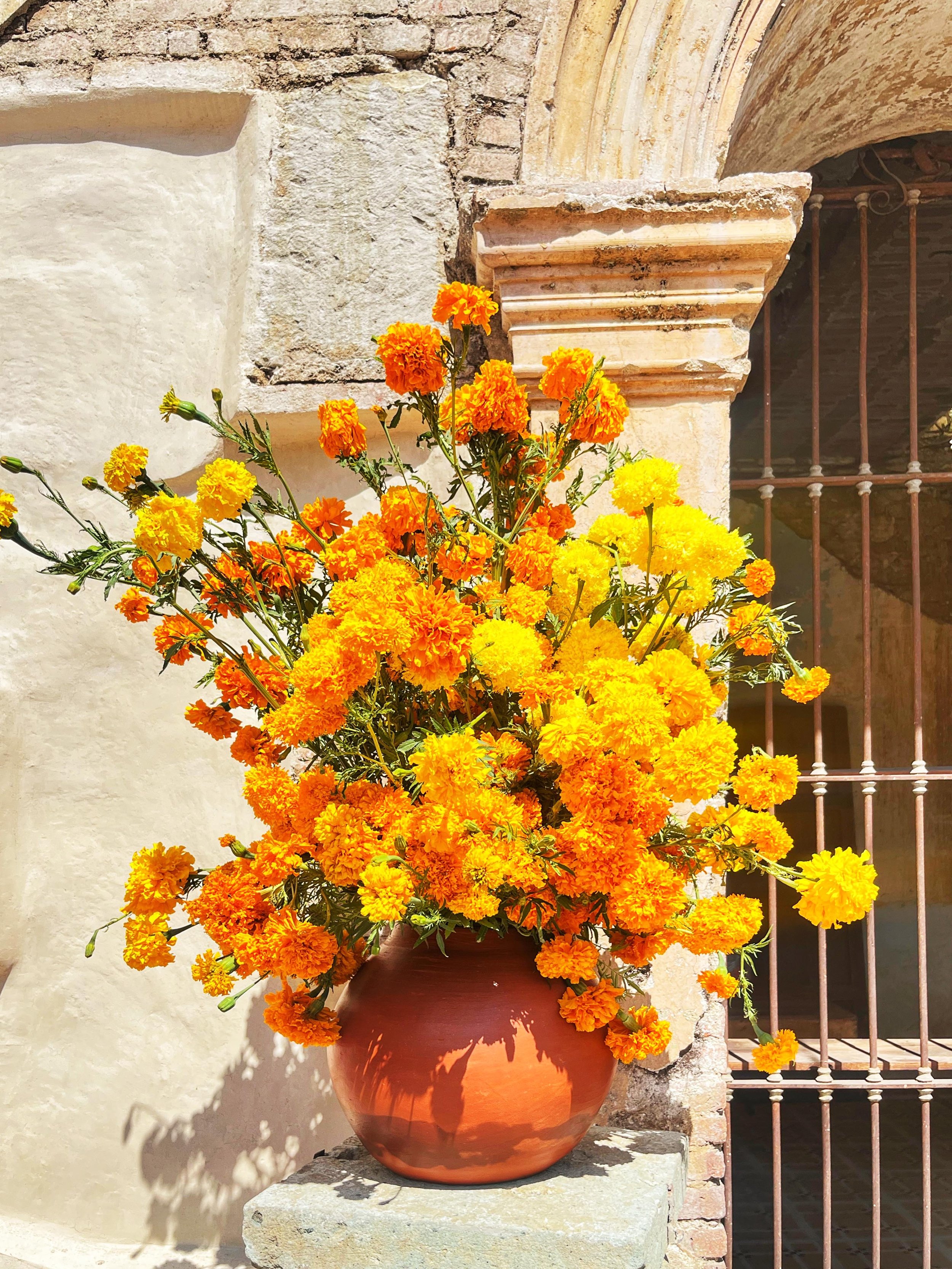 0. Día de los muertos_.jpg