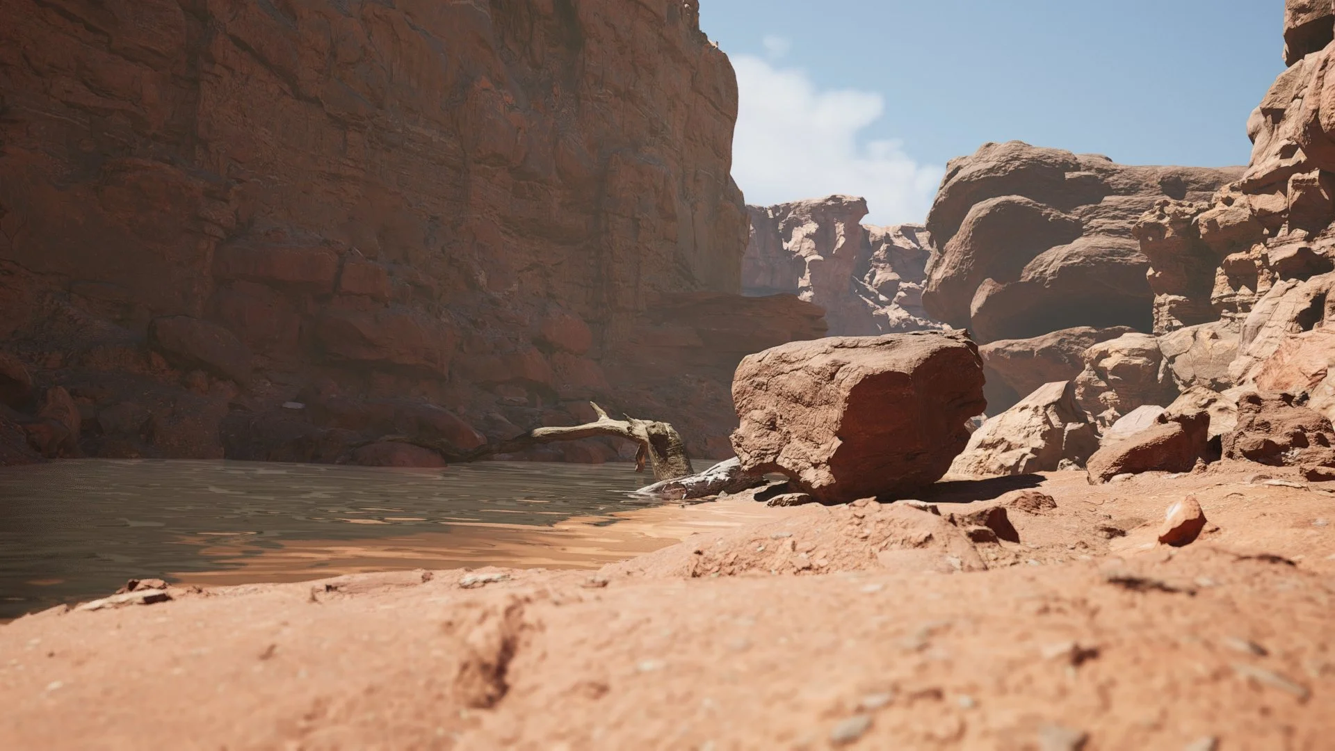 Desert Virtual Set by Bullfrog Ranch Studios