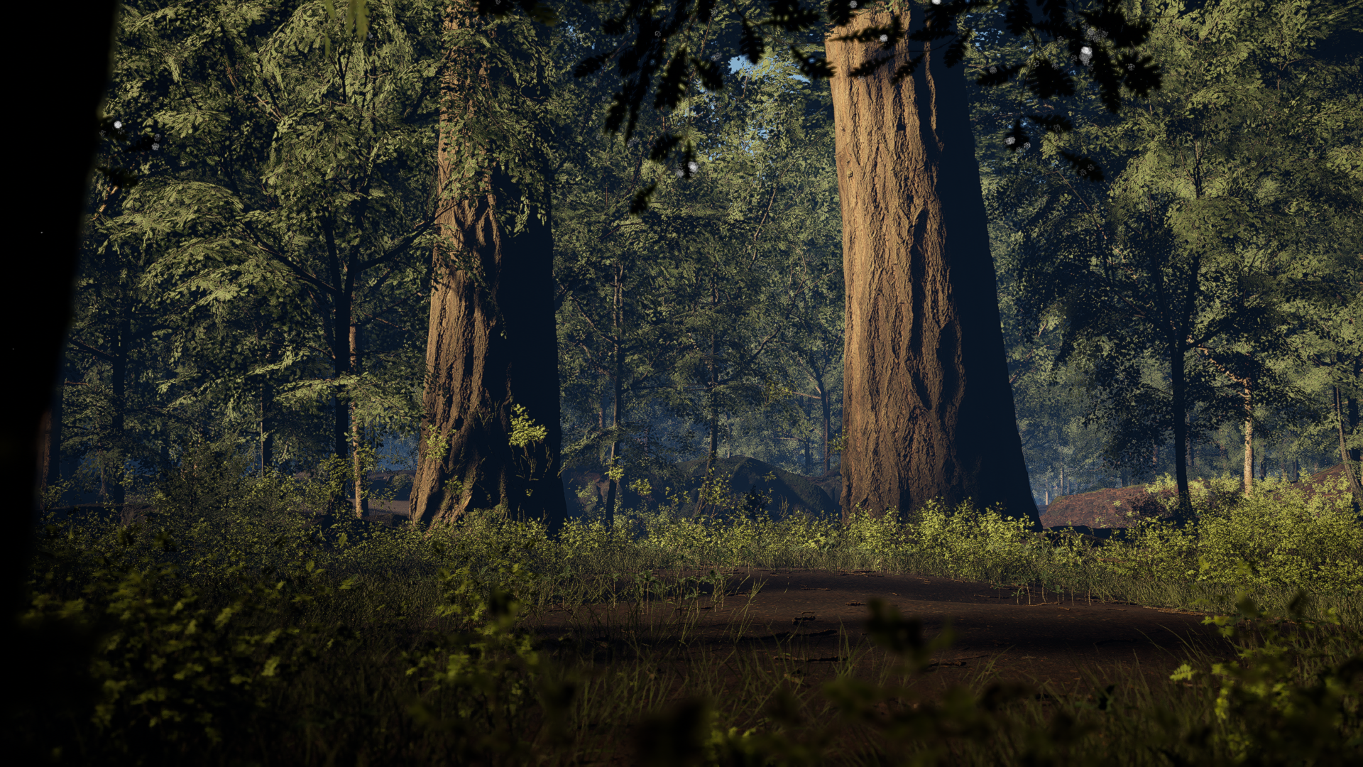 Forest Virtual Set by Bullfrog Ranch Studios