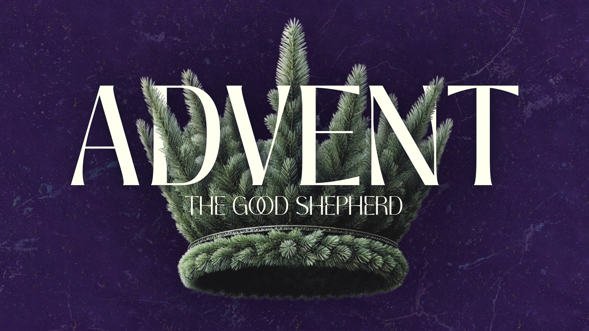Advent :: The Good Shepherd