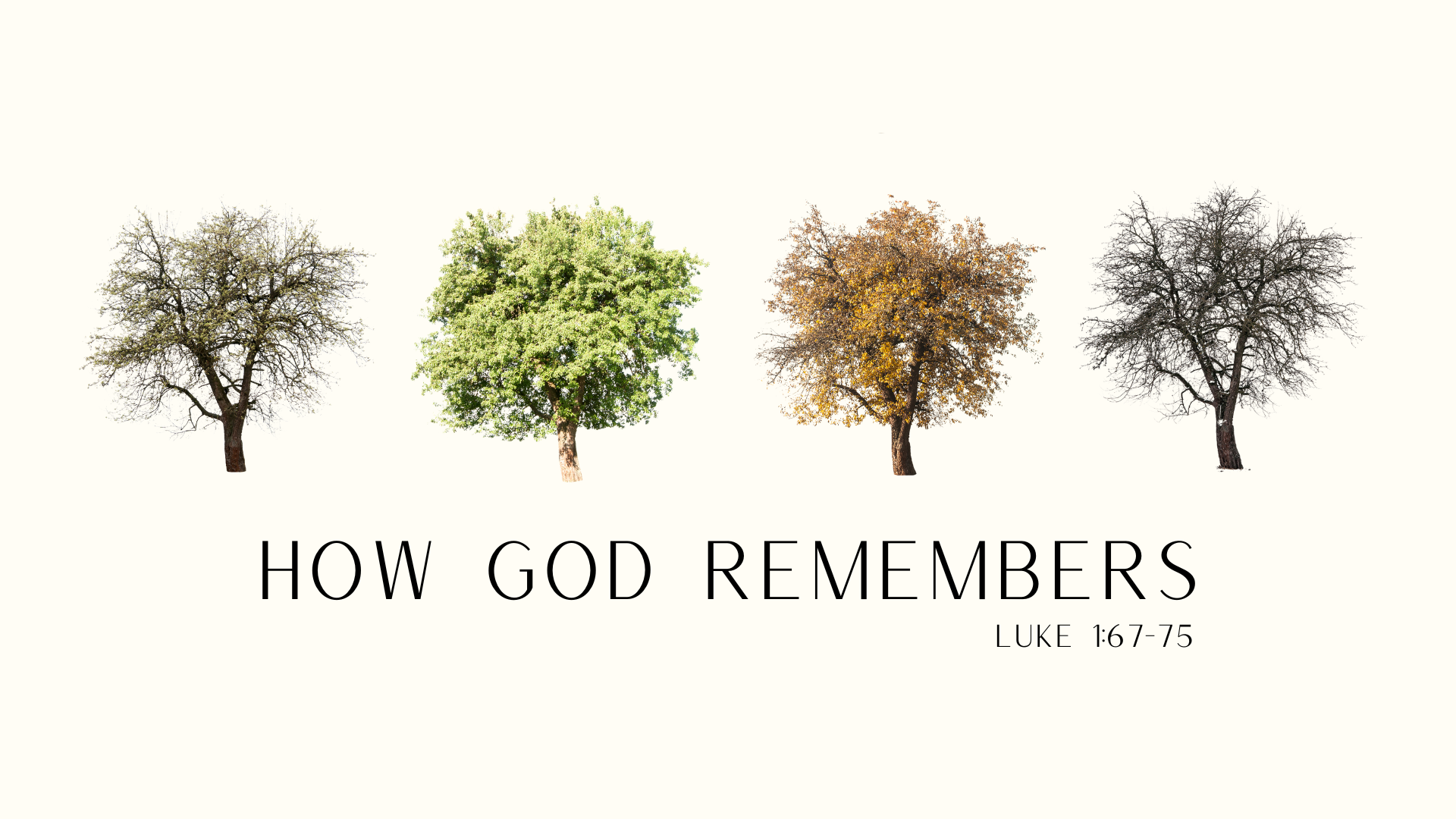 Advent :: How God Remembers