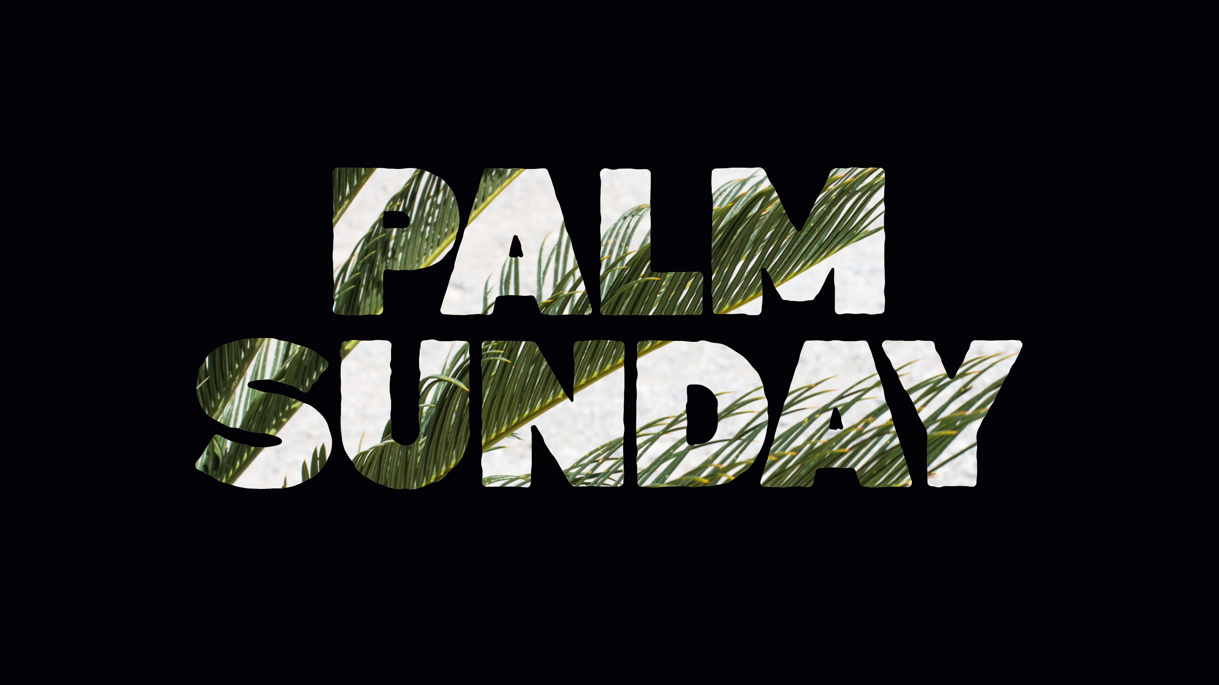 Lent :: Palm Sunday