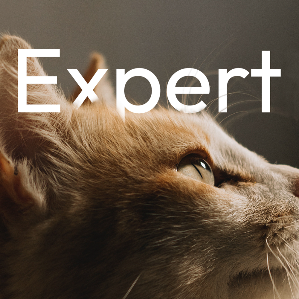 7esca_gallery_expert_cat.png