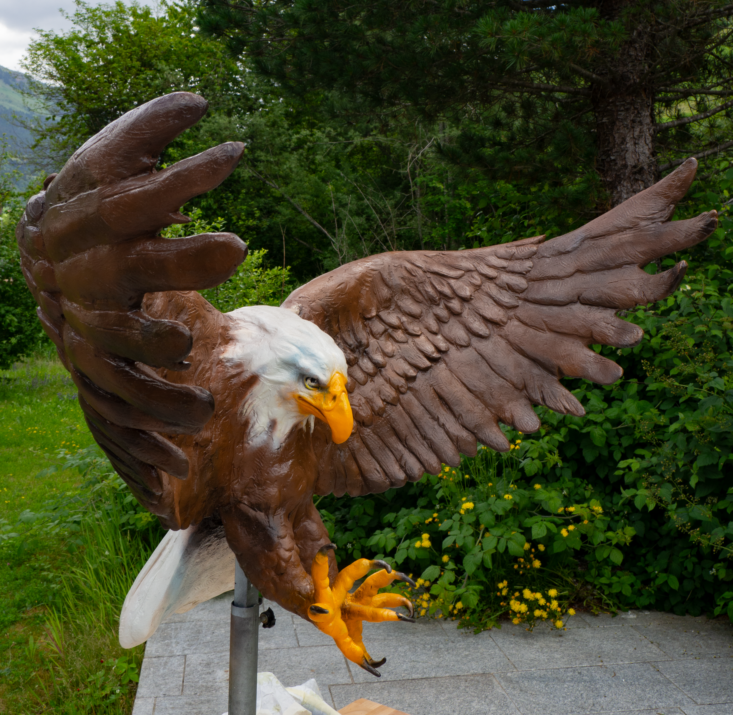 7951C5A1-FA3B-4ECE-B0B0-2577613E3569.png