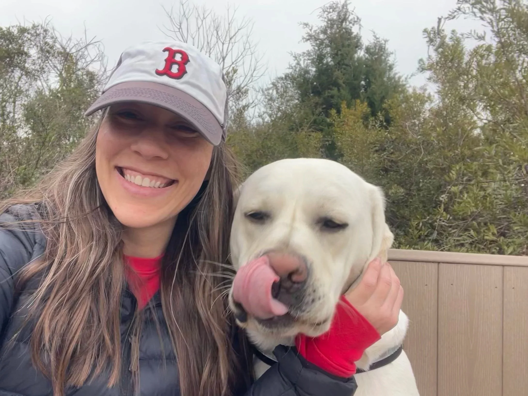 Animal Communication