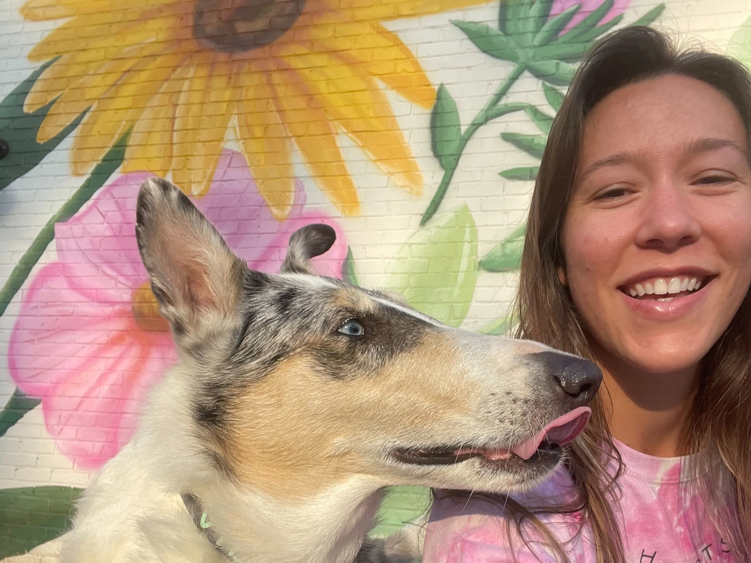 charlestonscanimalreikipractioner.jpg