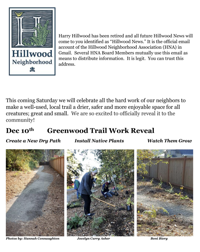 Preview image of newsletter