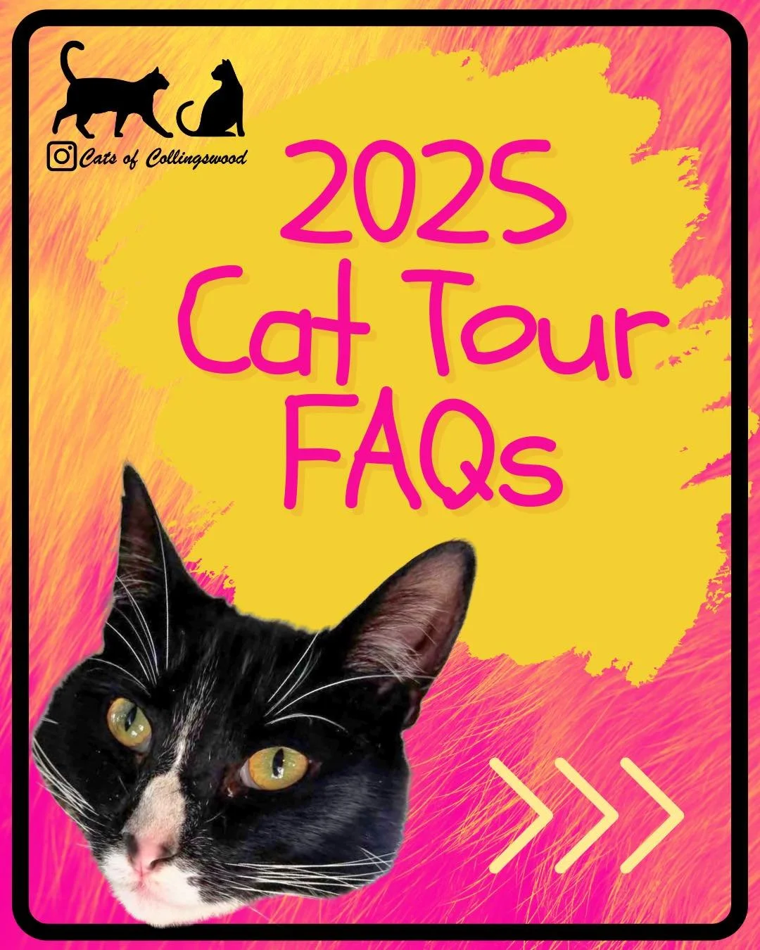 CAT TOUR 2025 FAQ's- APPLICATIONS STILL OPEN
Join catsofcollingswood in meeting our feline neighbors and raising money for Community Cat Club!

#catsofcollingswood #boroughofcollingswood #whyIloveCollingswood #communityevent #collingswoodciviccollect