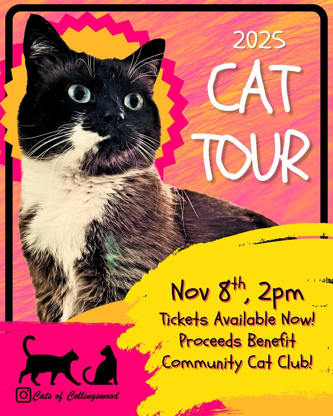 Calling all cat lovers and curious Collingswood residents! 😻

Tickets are now available for a one-of-a-kind Collingswood Cat Tour this Saturday, November 8th at 2pm! 
Collingswood Civic Collective and Cats of Collingswood are teaming up to take you 