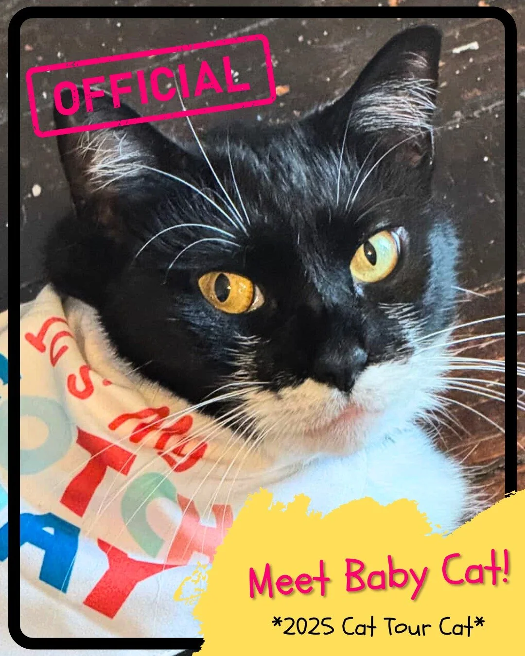 Calling all cat lovers and curious Collingswood residents! 😻

The route and our Official Cats are set and tickets are now available for a one-of-a-kind Collingswood Cat Tour Saturday, November 8th at 2pm! 
Collingswood Civic Collective and Cats of C
