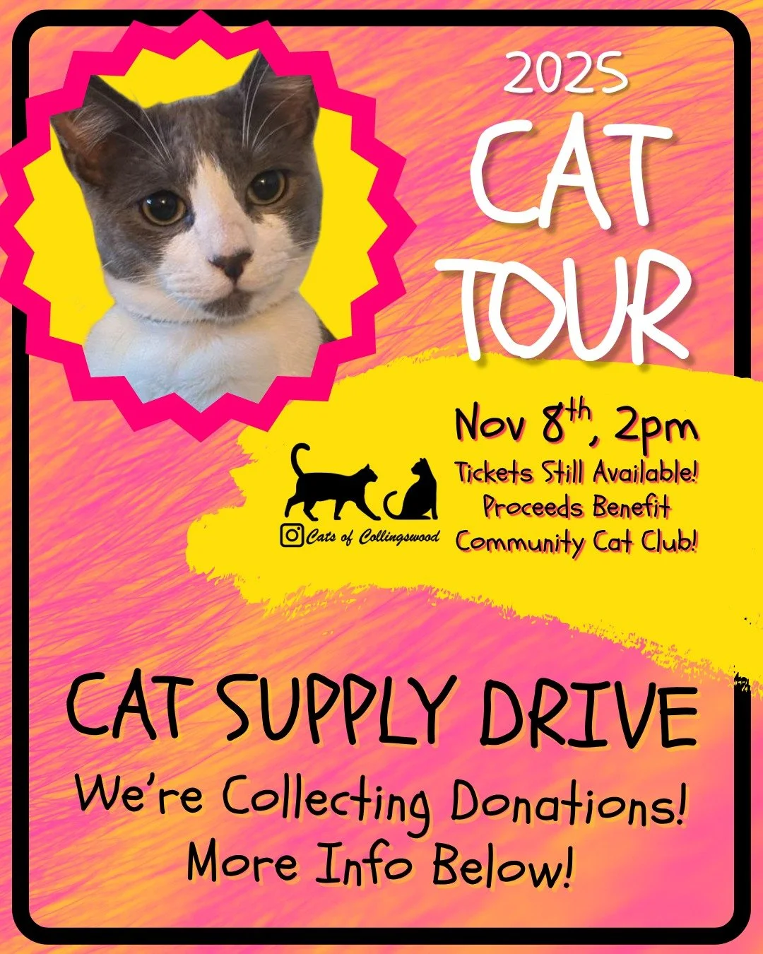 Exciting Update: The Collingswood Cat Tour Just Got Paw-sitively Better!

The response to the Collingswood Cat Tour has been overwhelming! Since we already have over 100 people attending the Cat Tour, we thought it would be the perfect opportunity to